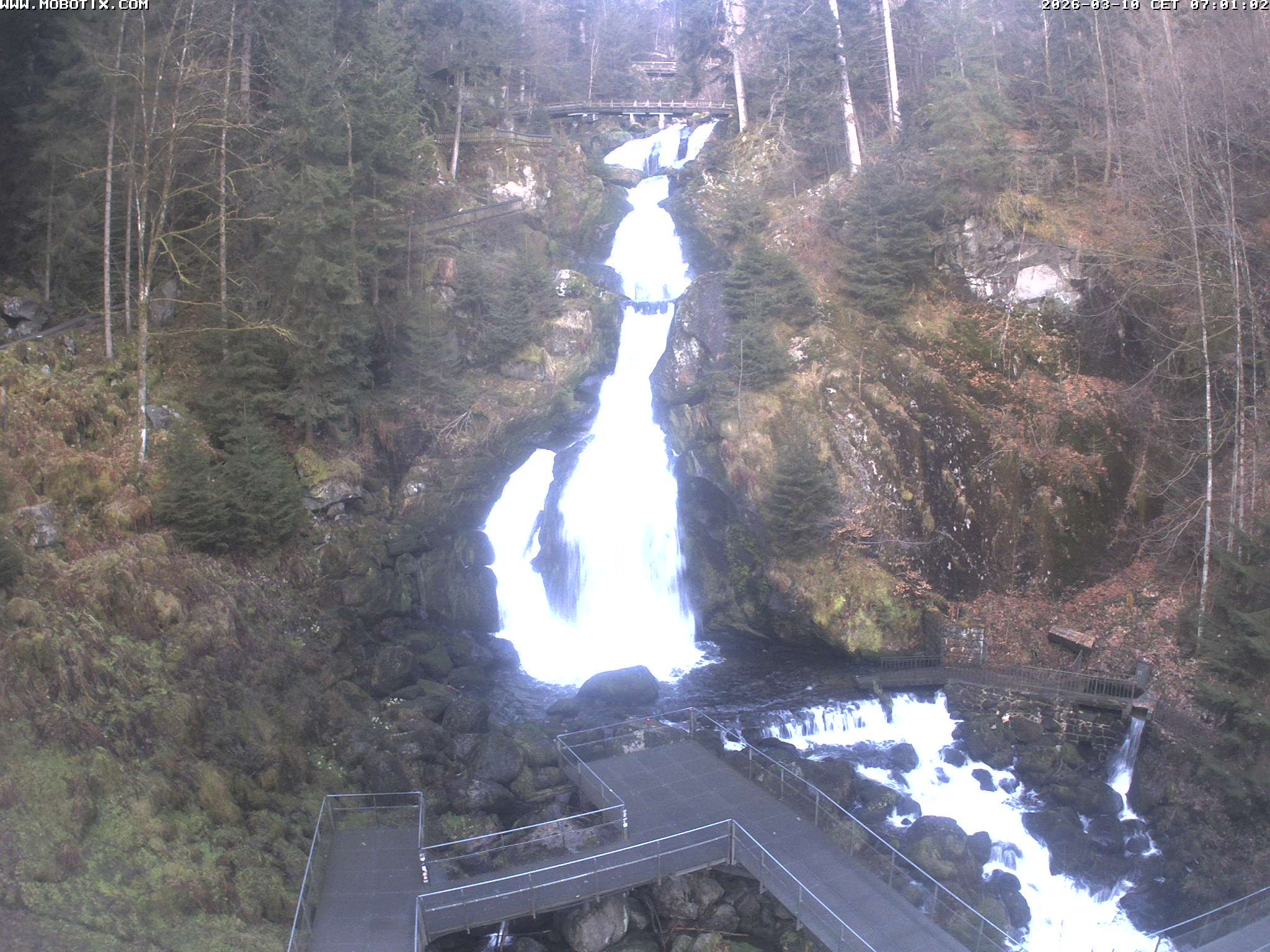 Archived image Webcam Triberg (Black Forest): Waterfalls