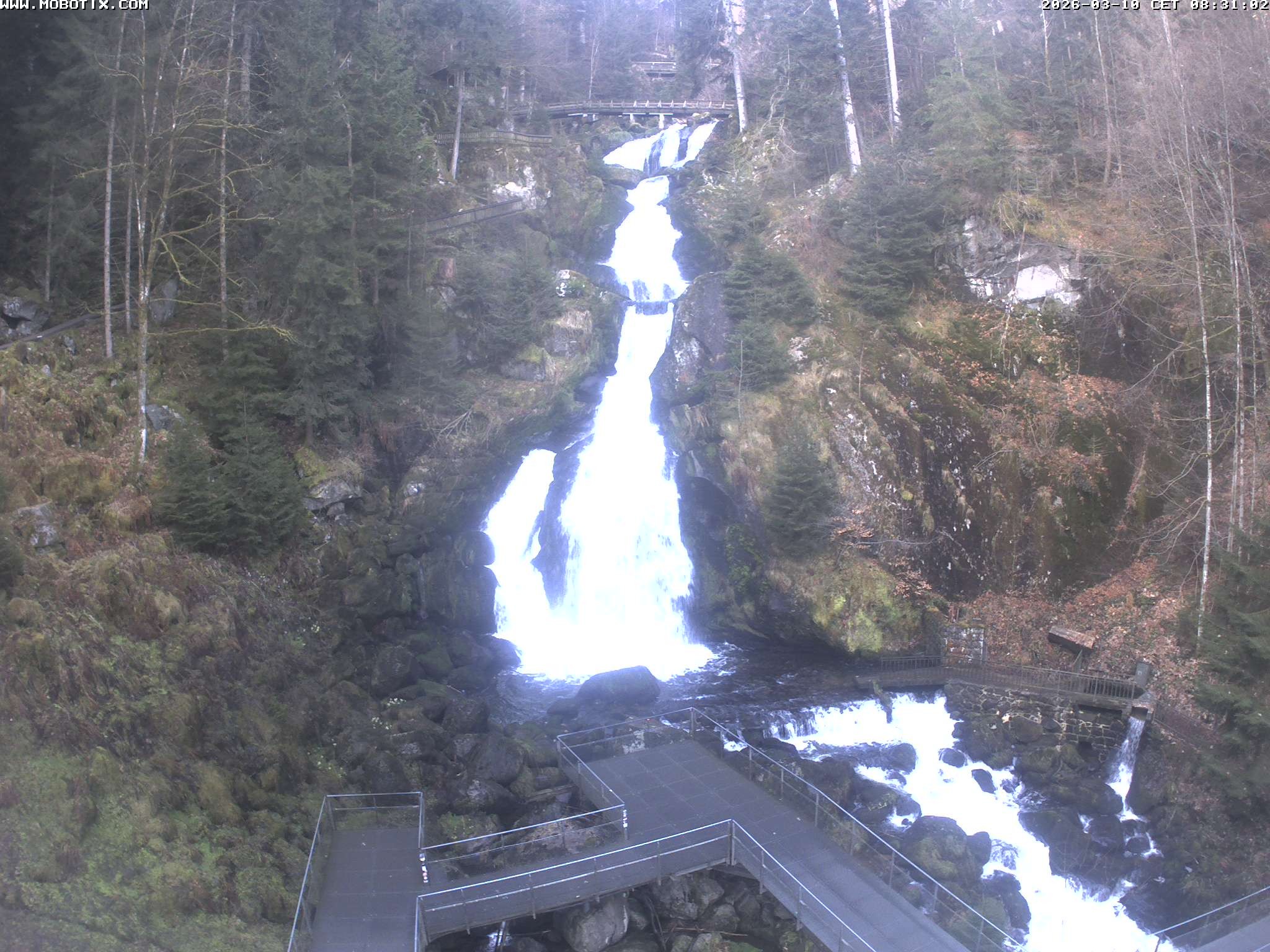 Archived image Webcam Triberg (Black Forest): Waterfalls