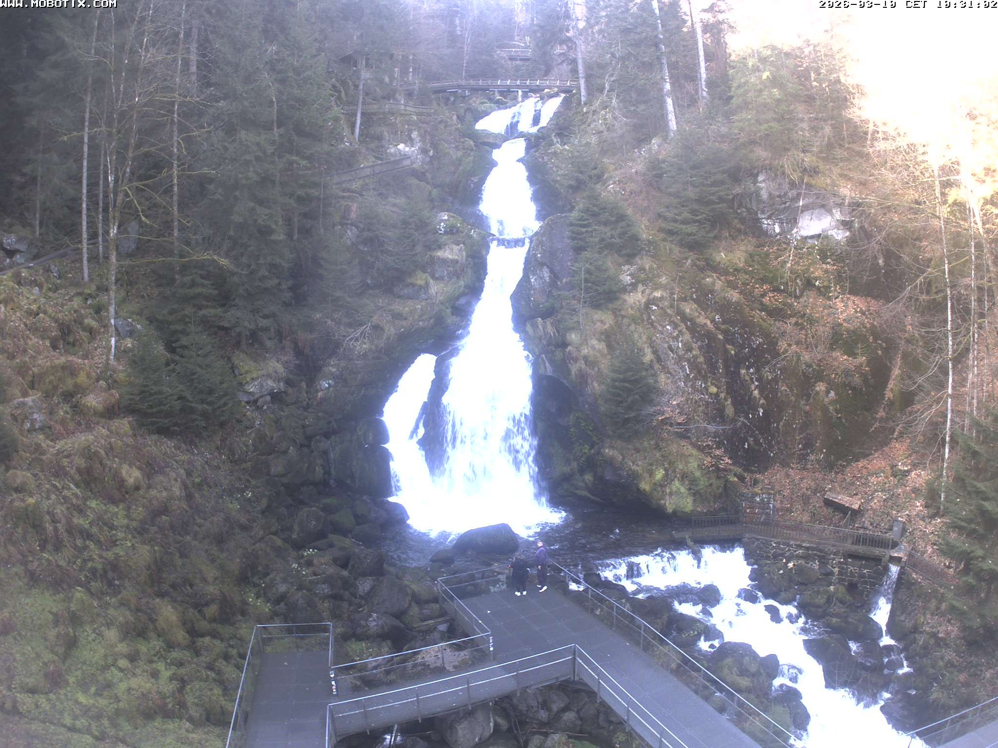 Archived image Webcam Triberg (Black Forest): Waterfalls