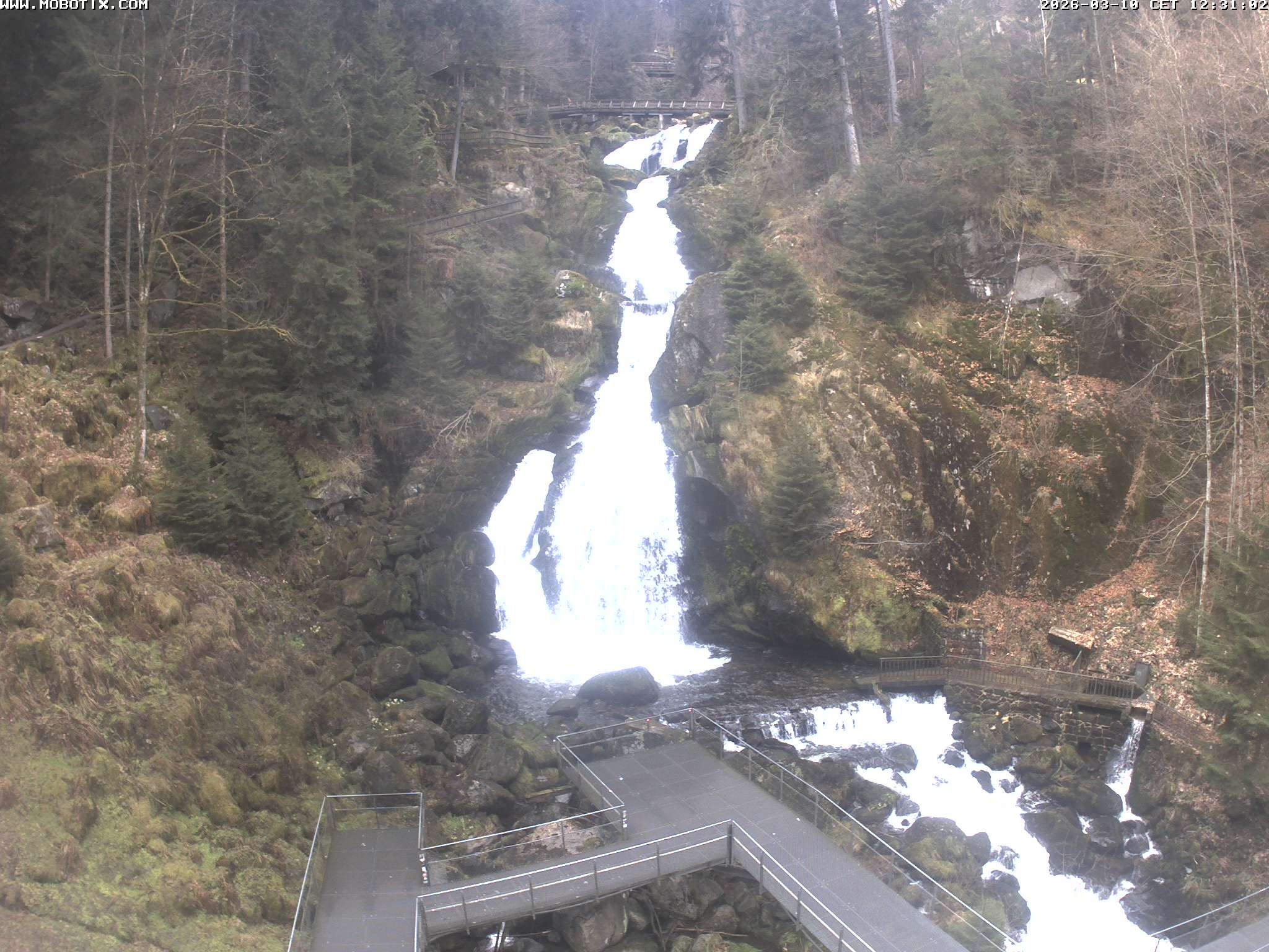 Archived image Webcam Triberg (Black Forest): Waterfalls