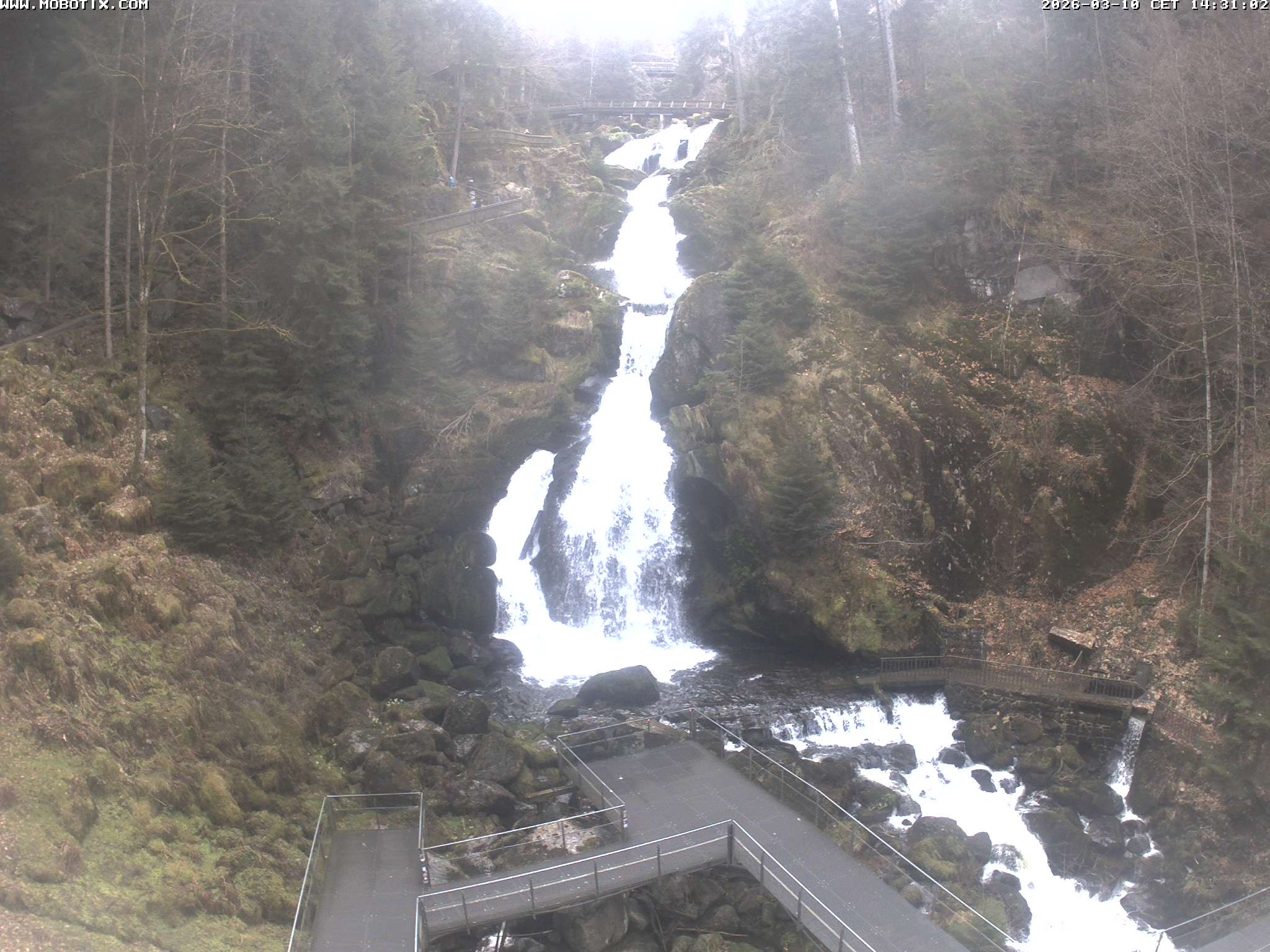 Archived image Webcam Triberg (Black Forest): Waterfalls