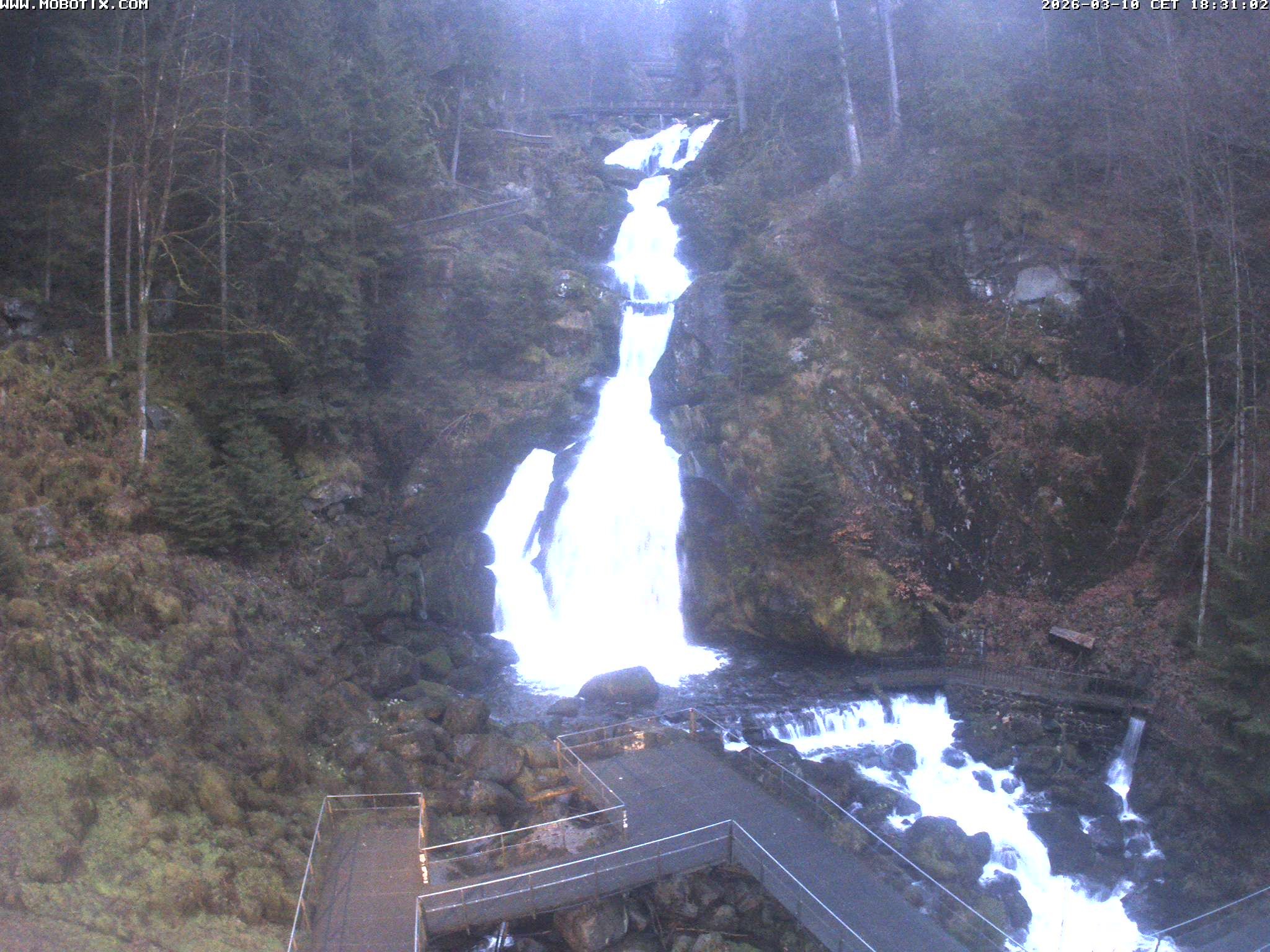 Archived image Webcam Triberg (Black Forest): Waterfalls