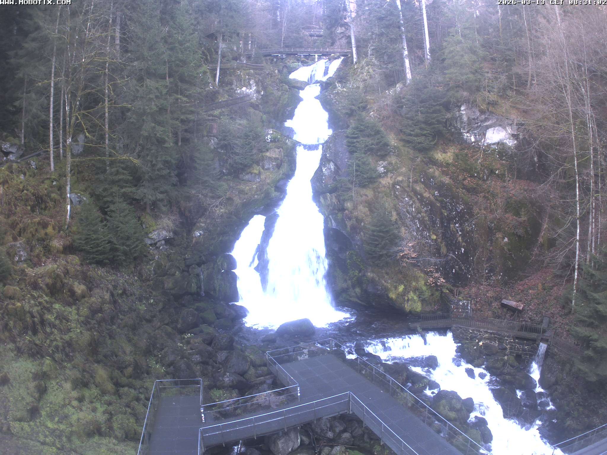 Archiv Foto Webcam Triberg Wasserfälle im Schwarzwald