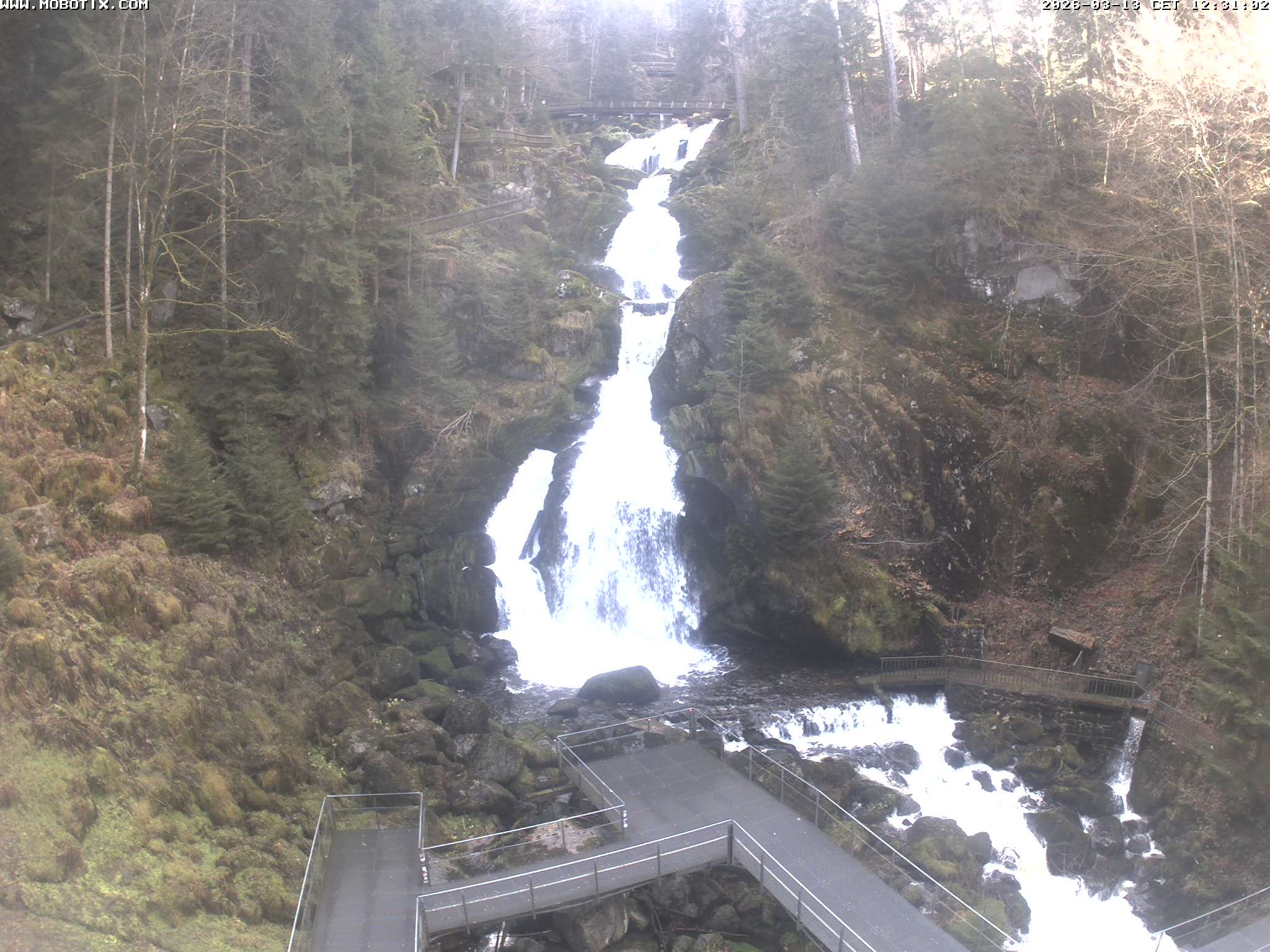 Archiv Foto Webcam Triberg Wasserfälle im Schwarzwald