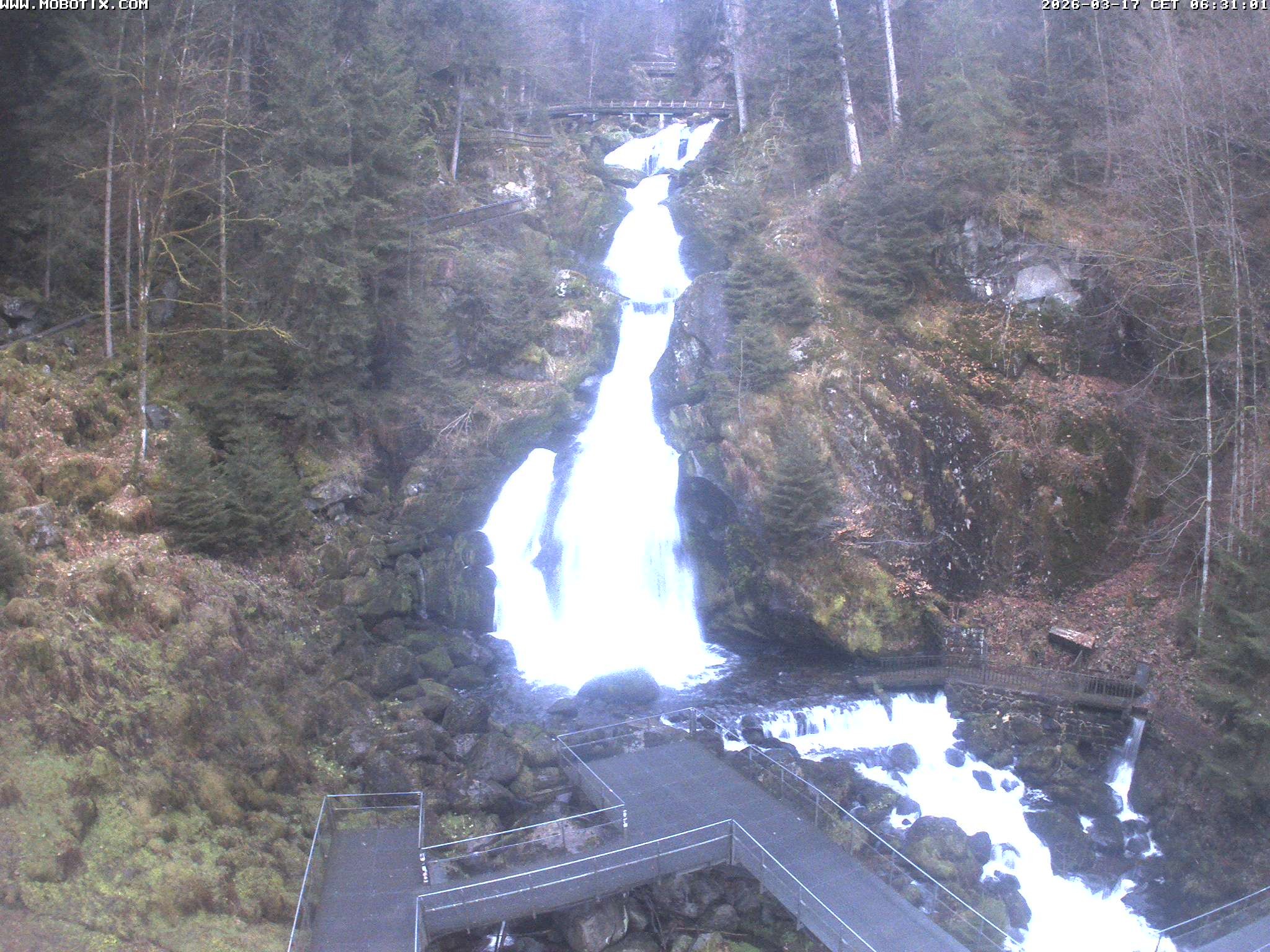 Archiv Foto Webcam Triberg Wasserfälle im Schwarzwald