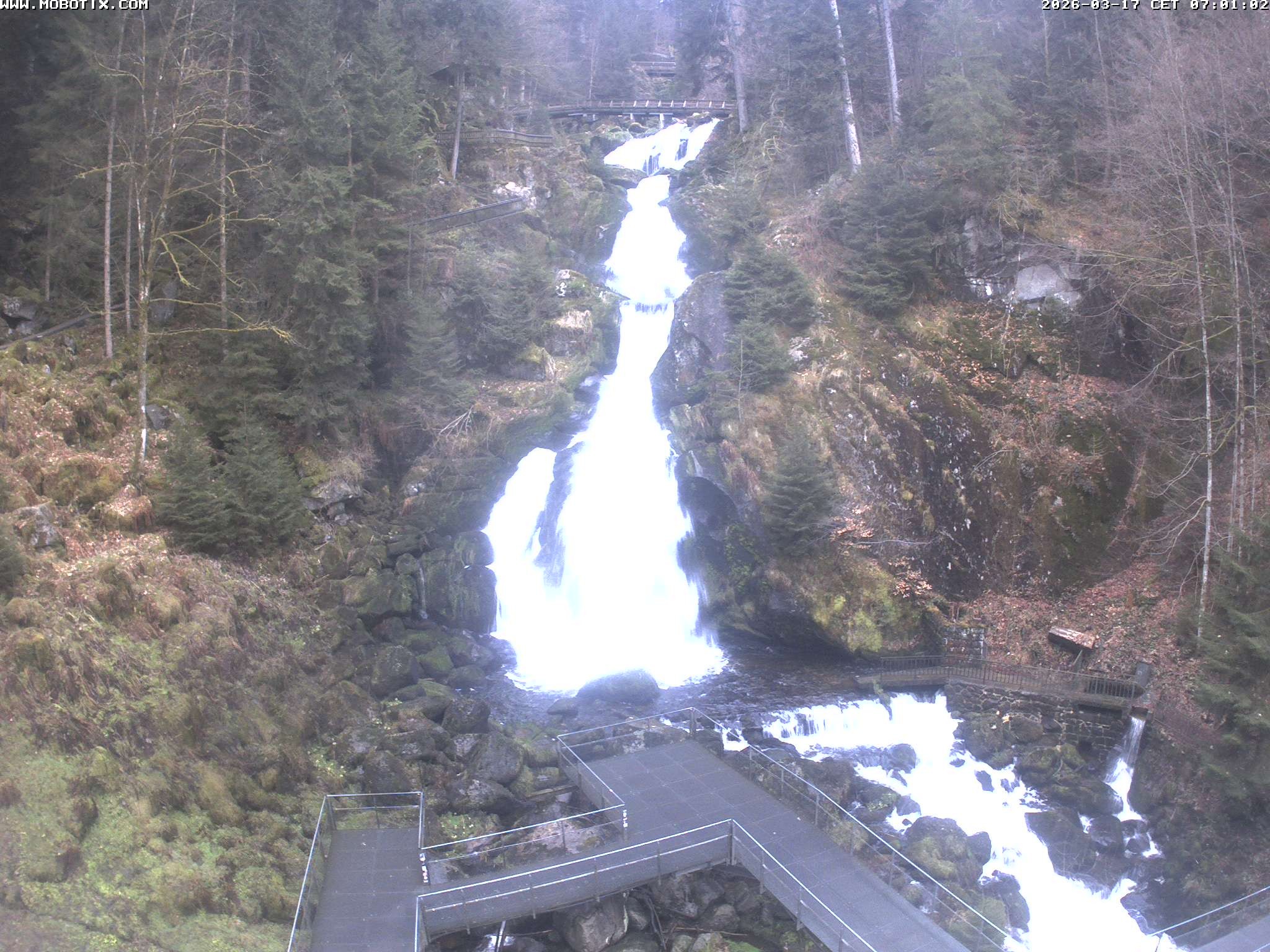 Archiv Foto Webcam Triberg Wasserfälle im Schwarzwald