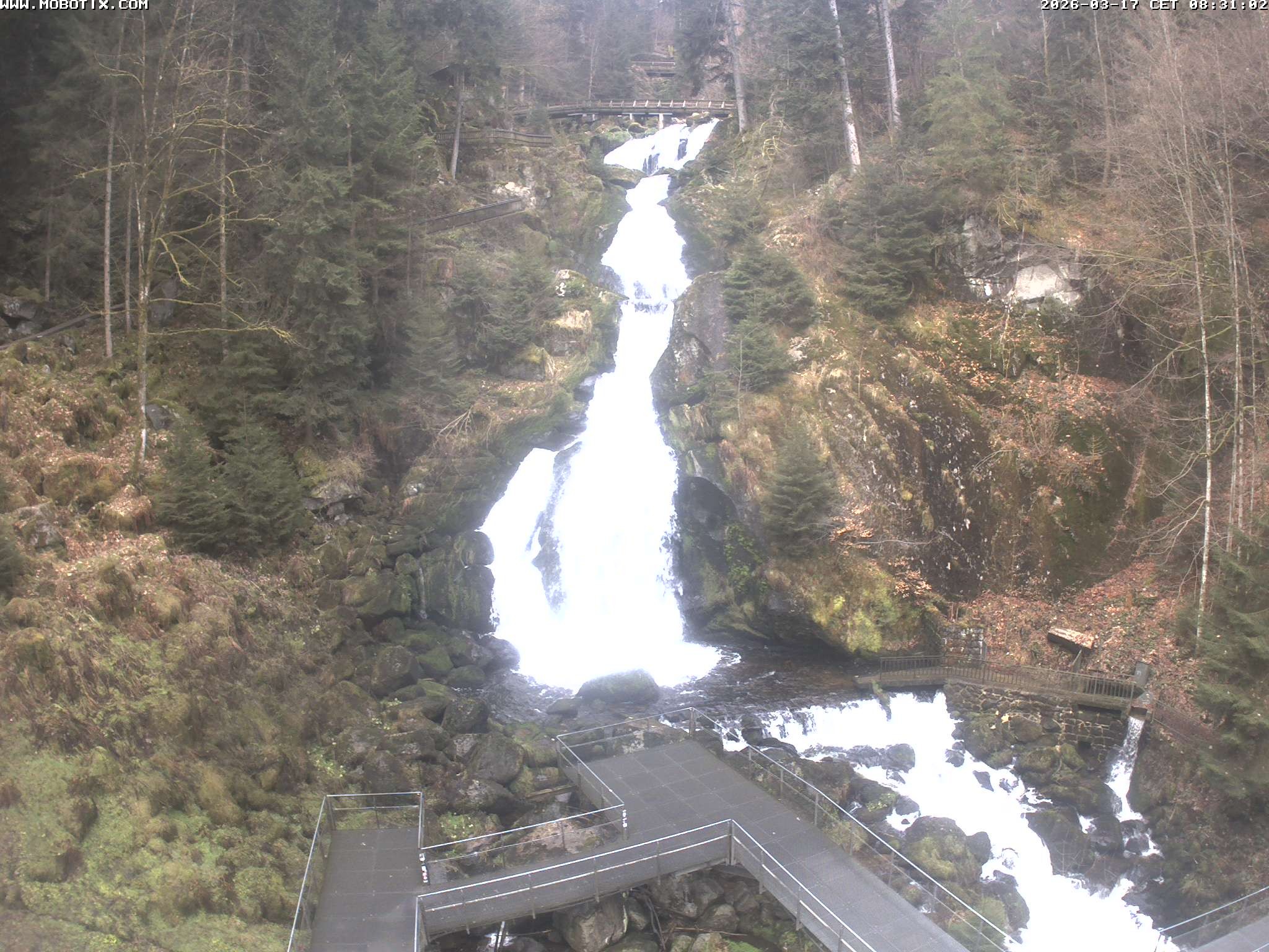 Archiv Foto Webcam Triberg Wasserfälle im Schwarzwald