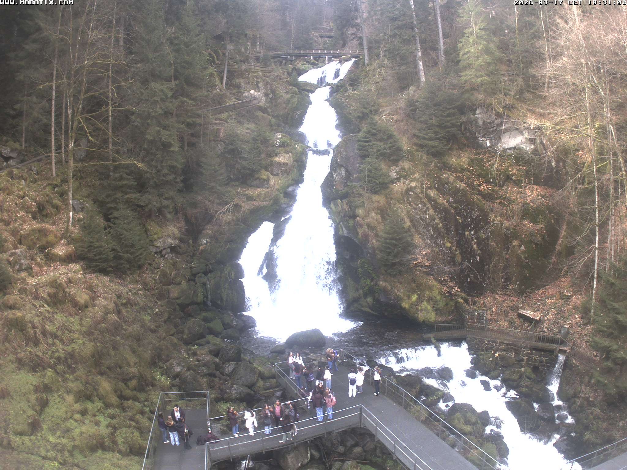 Archiv Foto Webcam Triberg Wasserfälle im Schwarzwald