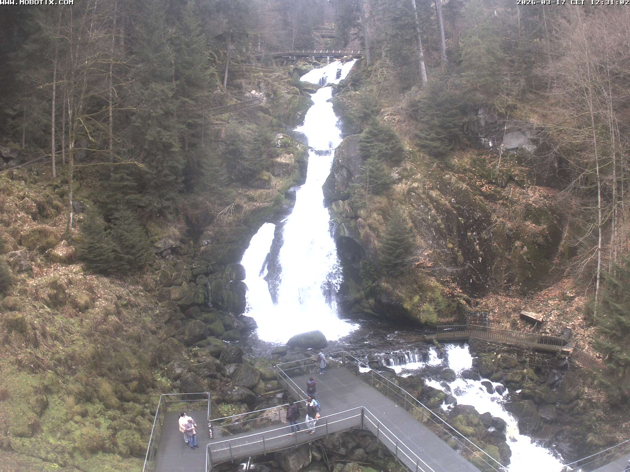 Archiv Foto Webcam Triberg Wasserfälle im Schwarzwald