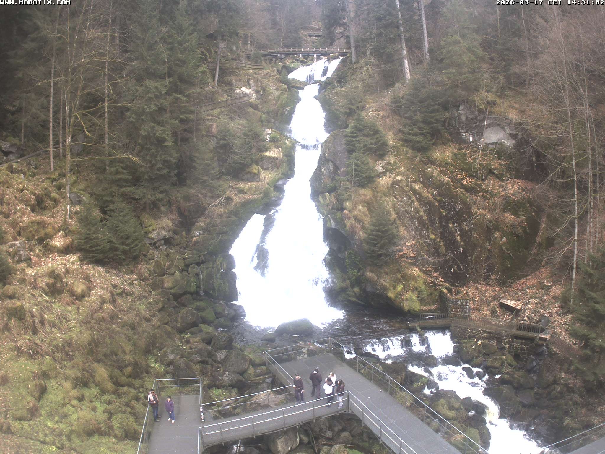 Archiv Foto Webcam Triberg Wasserfälle im Schwarzwald