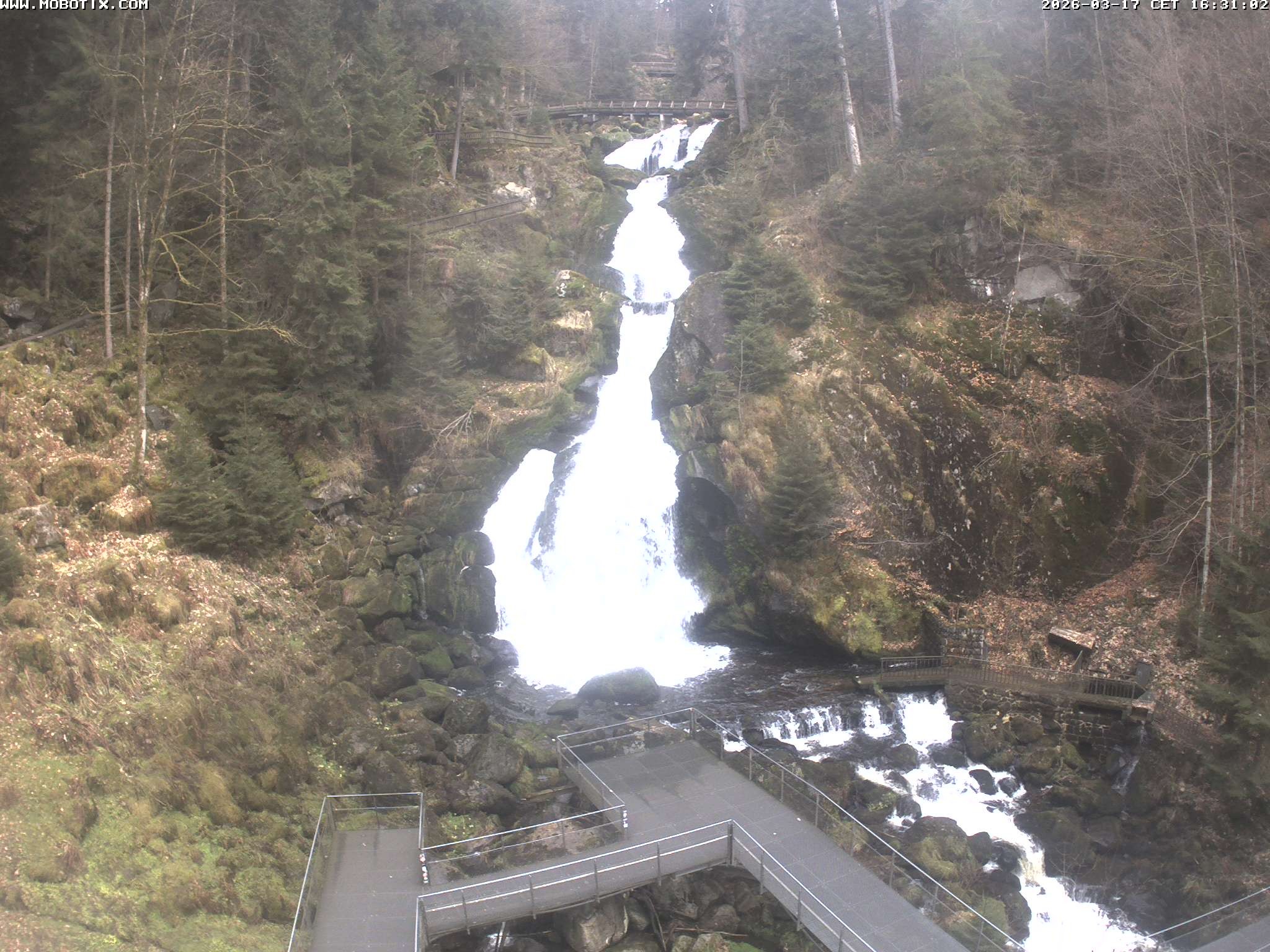Archiv Foto Webcam Triberg Wasserfälle im Schwarzwald