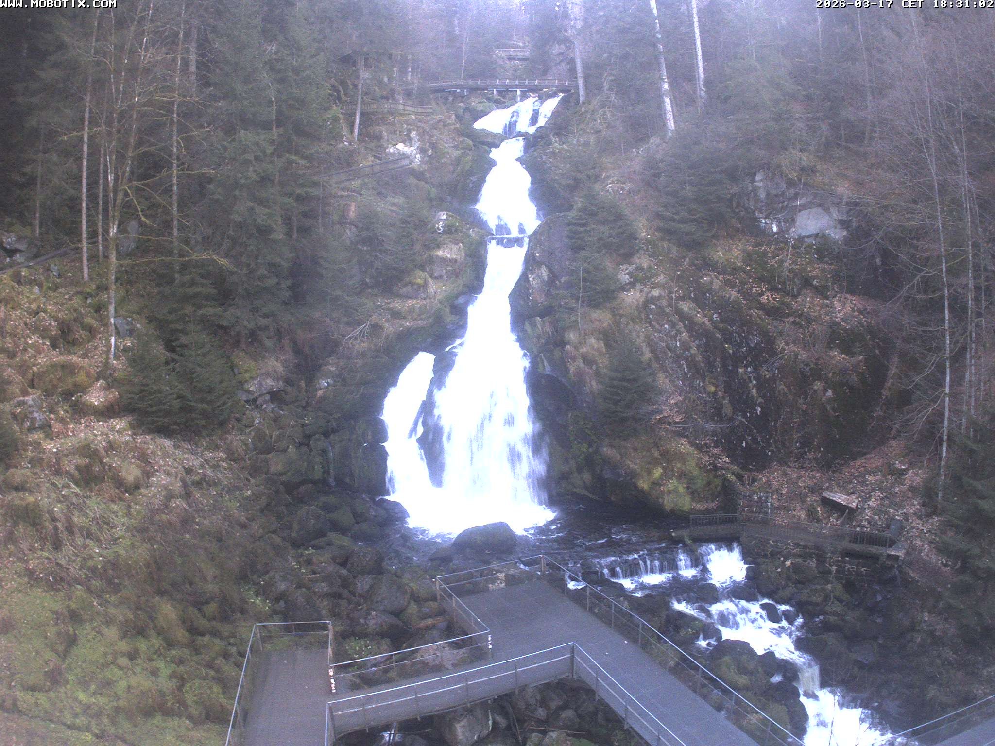 Archiv Foto Webcam Triberg Wasserfälle im Schwarzwald