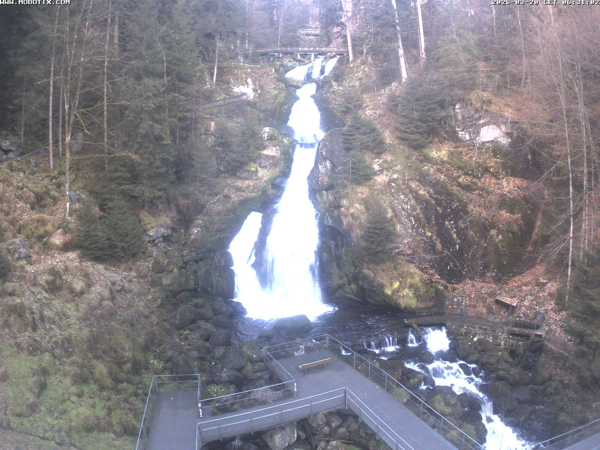 Archived image Webcam Triberg (Black Forest): Waterfalls