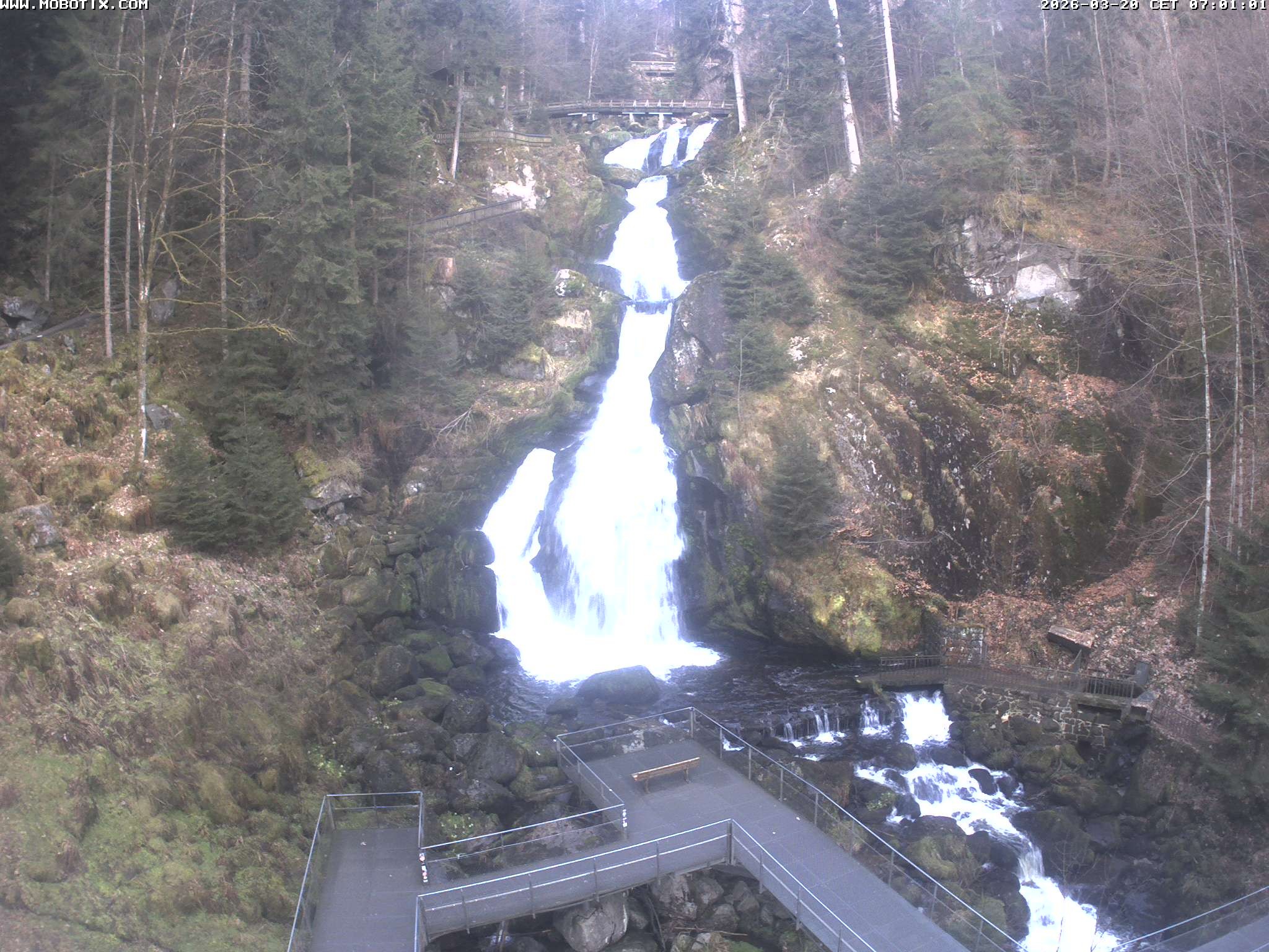 Archived image Webcam Triberg (Black Forest): Waterfalls