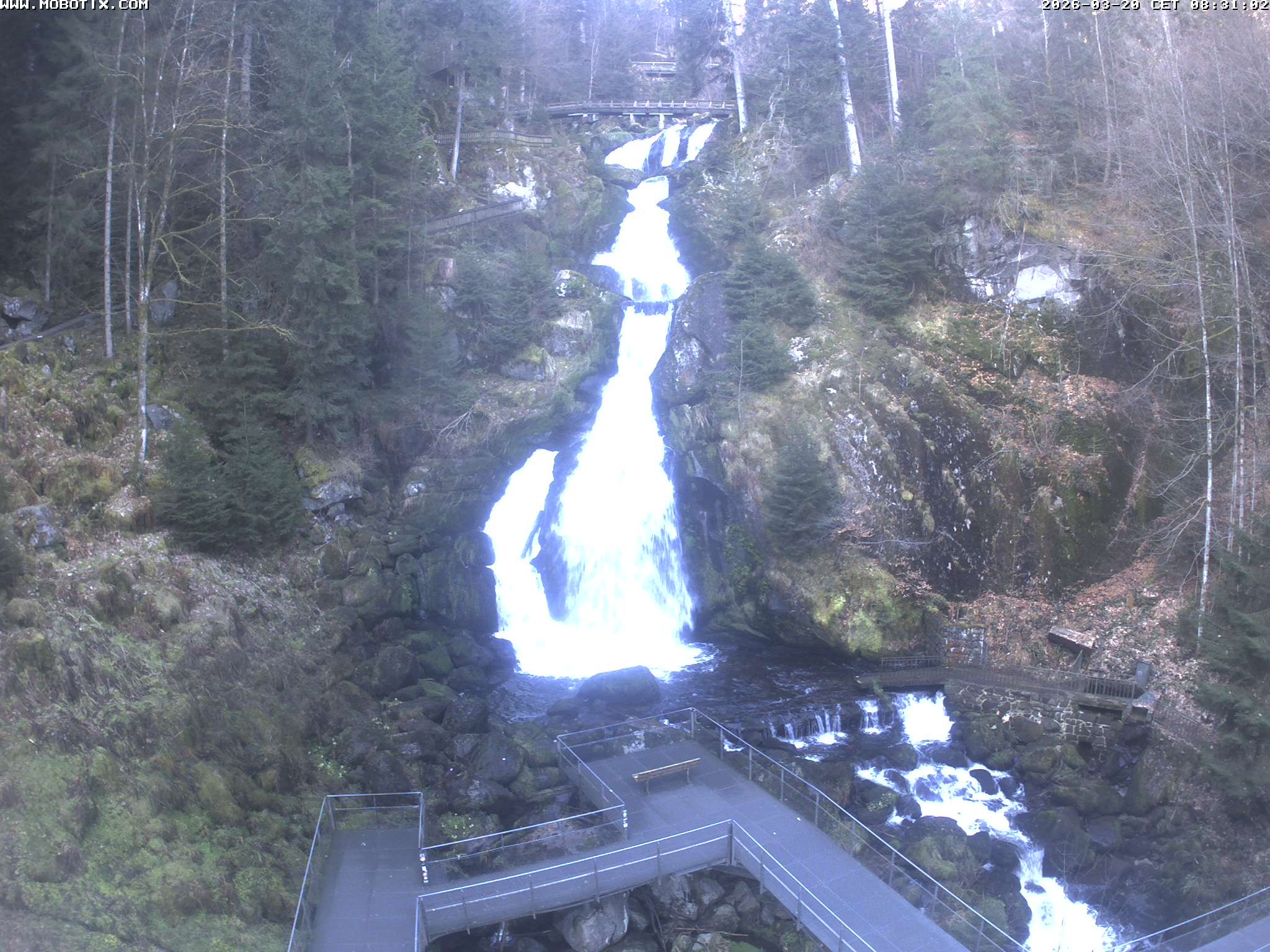 Archived image Webcam Triberg (Black Forest): Waterfalls