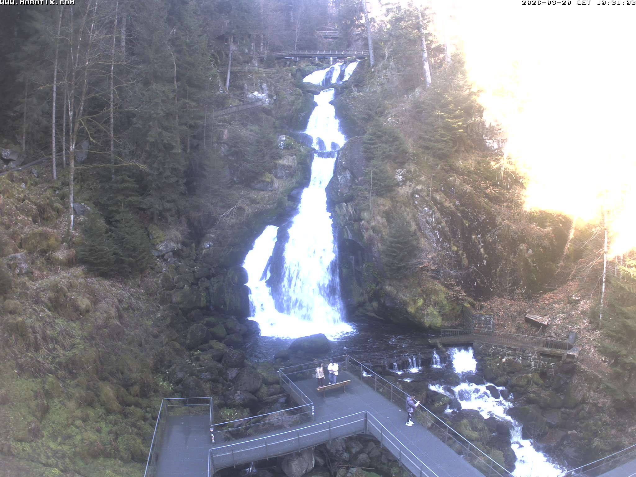 Archived image Webcam Triberg (Black Forest): Waterfalls