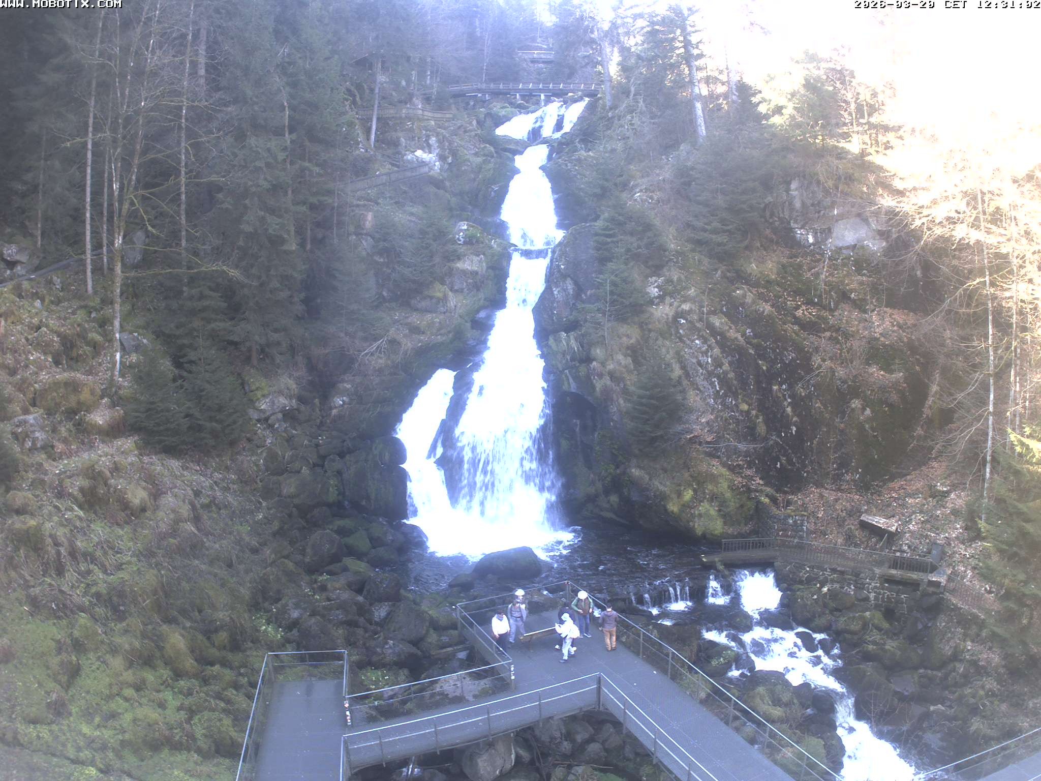 Archived image Webcam Triberg (Black Forest): Waterfalls