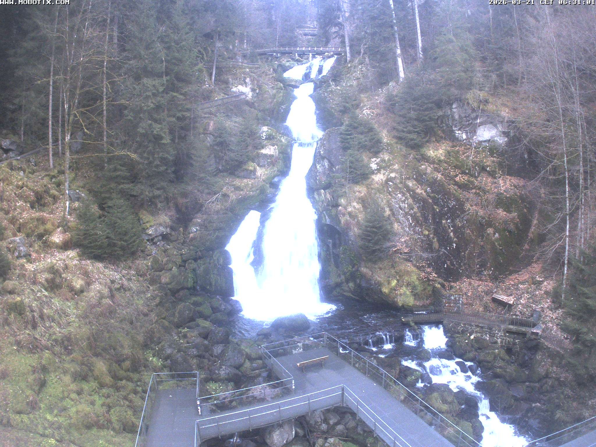 Archived image Webcam Triberg (Black Forest): Waterfalls