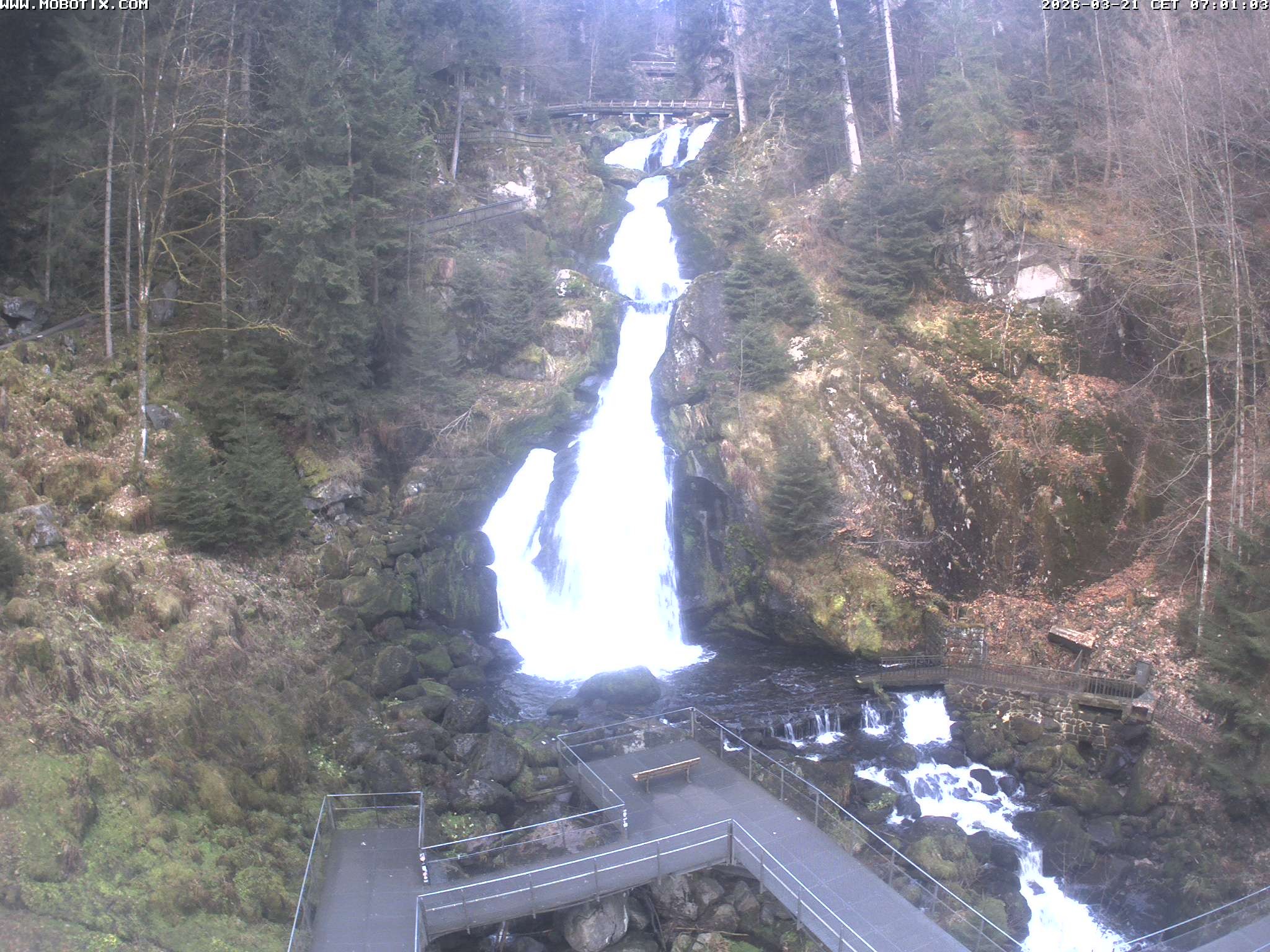 Archived image Webcam Triberg (Black Forest): Waterfalls