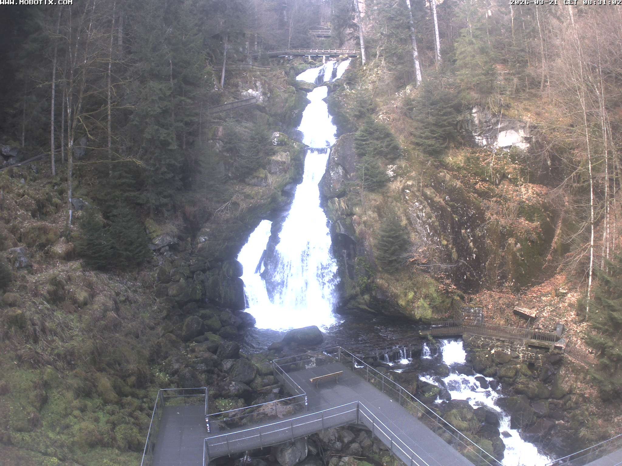 Archived image Webcam Triberg (Black Forest): Waterfalls