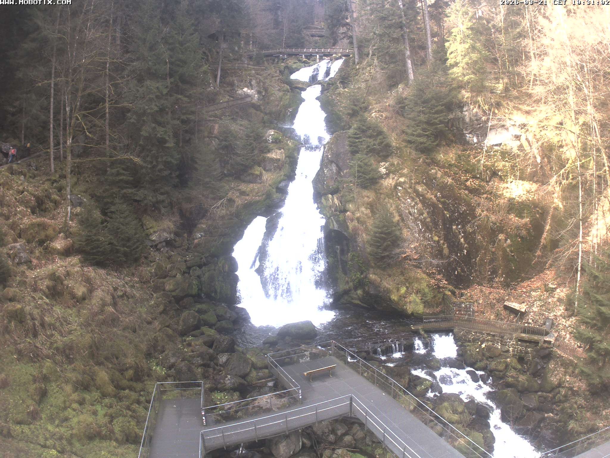 Archived image Webcam Triberg (Black Forest): Waterfalls