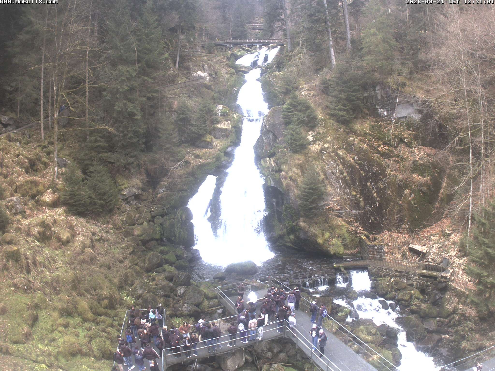 Archived image Webcam Triberg (Black Forest): Waterfalls