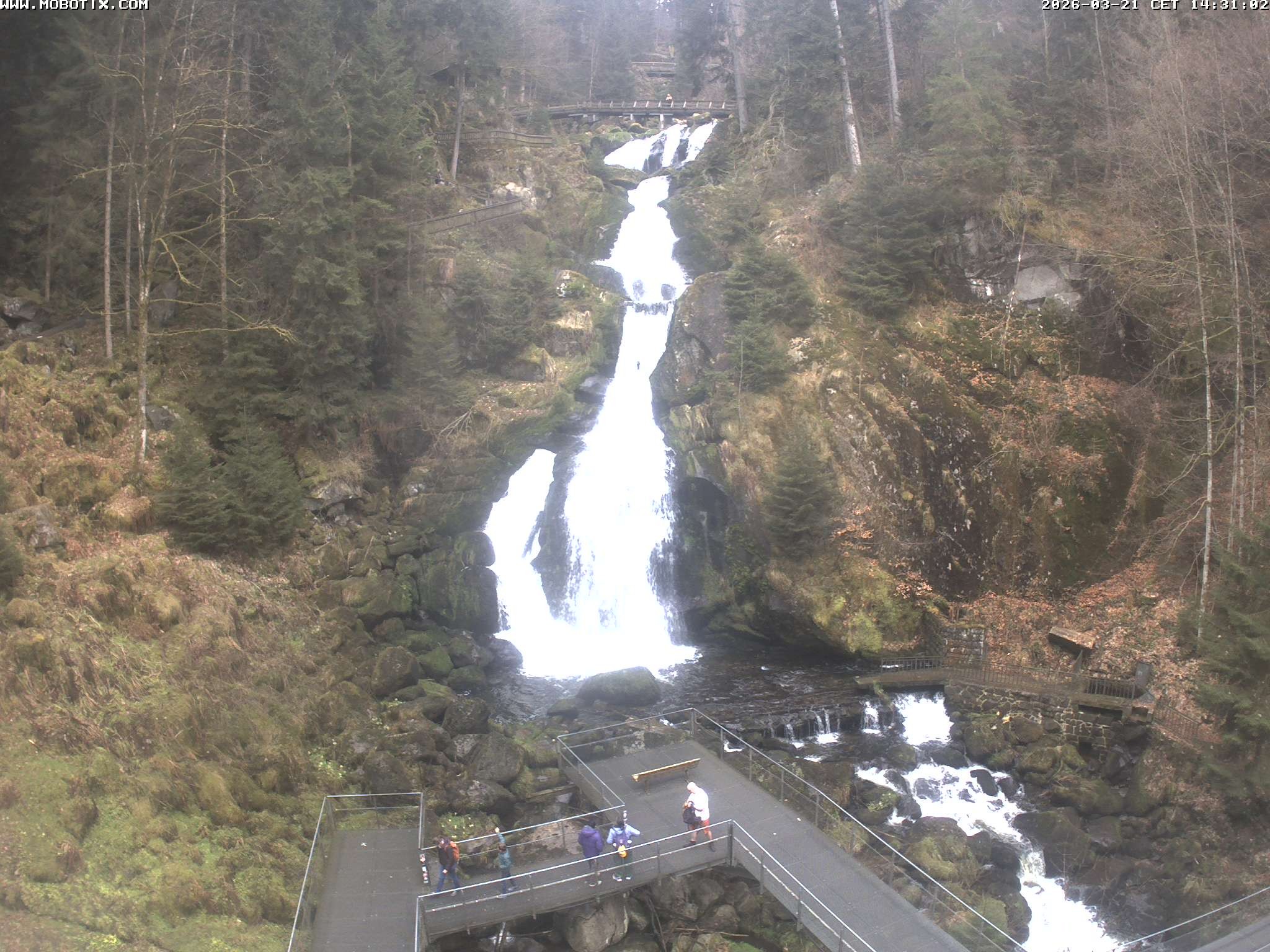 Archived image Webcam Triberg (Black Forest): Waterfalls