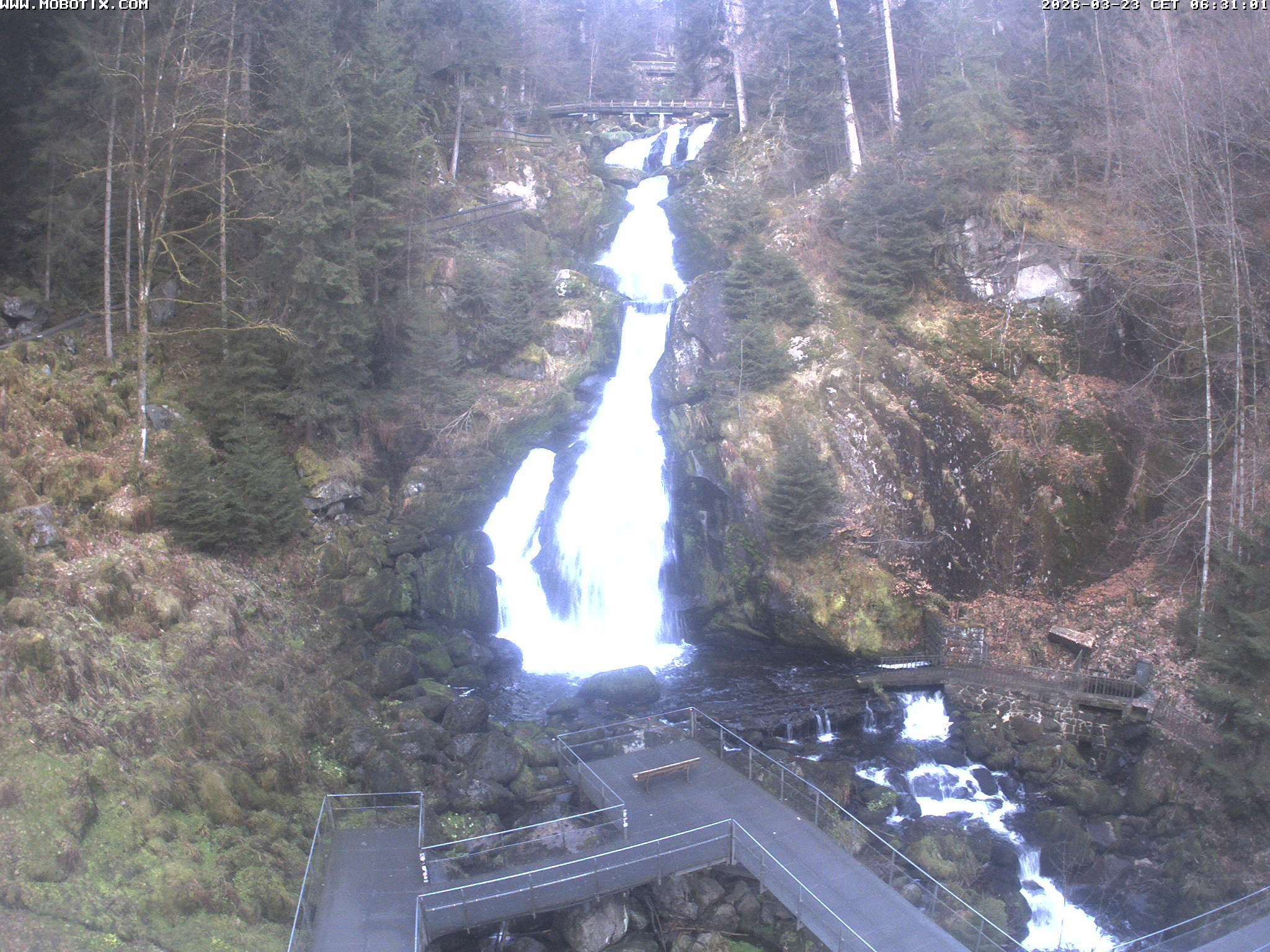 Archived image Webcam Triberg (Black Forest): Waterfalls