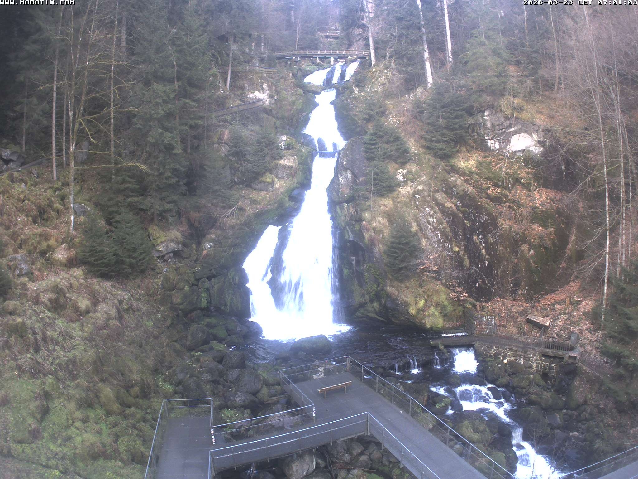 Archived image Webcam Triberg (Black Forest): Waterfalls