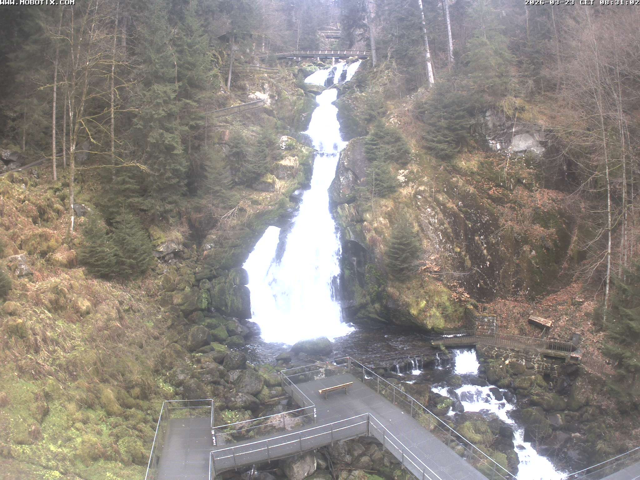 Archived image Webcam Triberg (Black Forest): Waterfalls