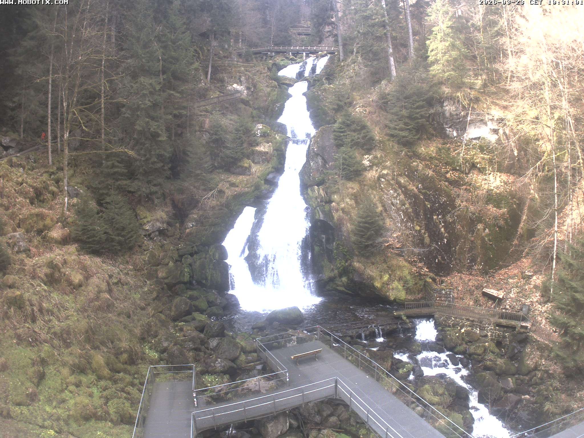 Archived image Webcam Triberg (Black Forest): Waterfalls