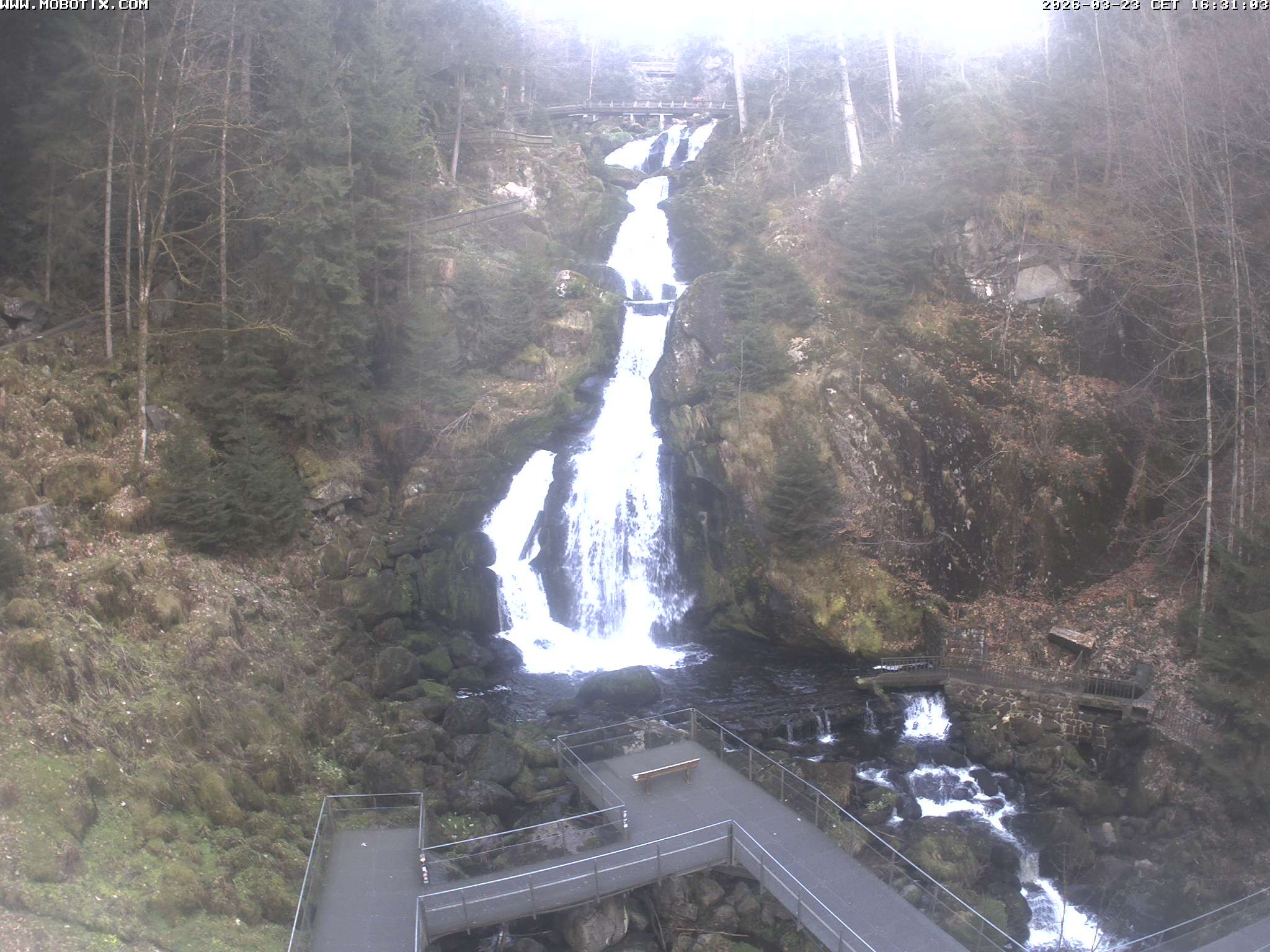 Archived image Webcam Triberg (Black Forest): Waterfalls