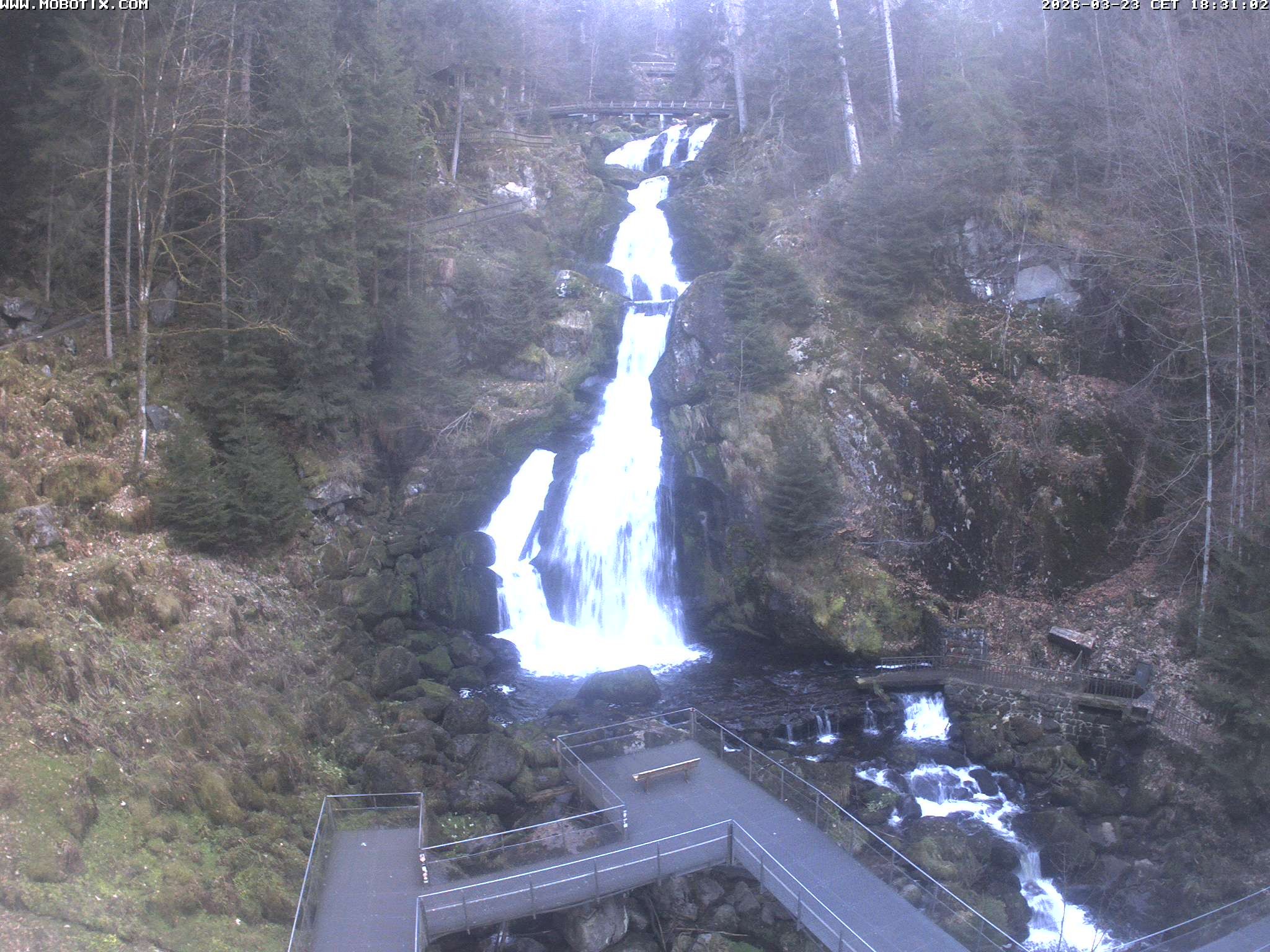 Archived image Webcam Triberg (Black Forest): Waterfalls