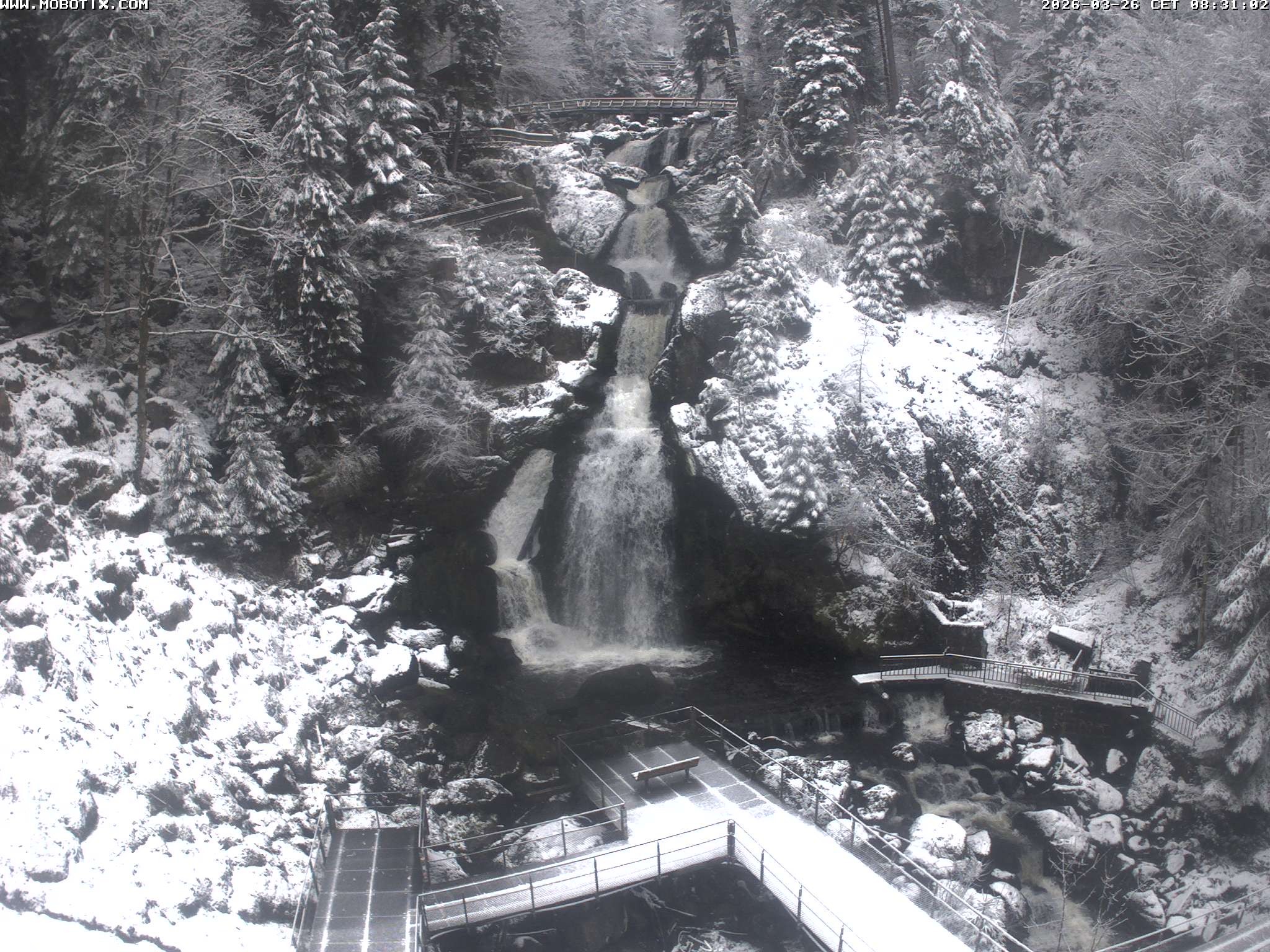 Archiv Foto Webcam Triberg Wasserfälle im Schwarzwald