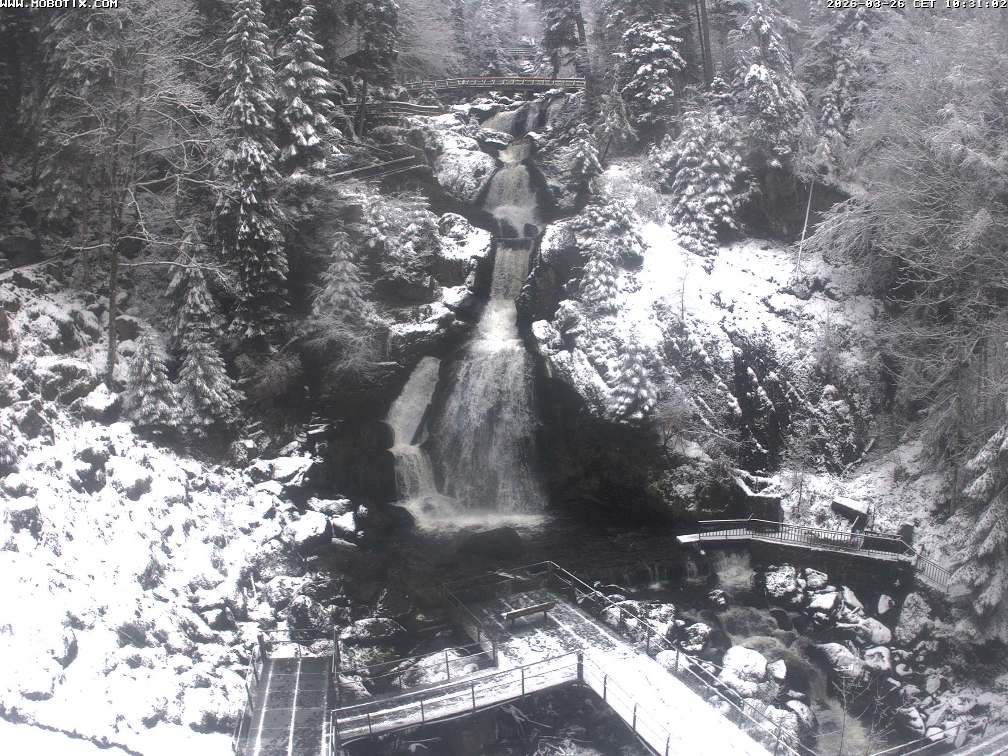Archiv Foto Webcam Triberg Wasserfälle im Schwarzwald