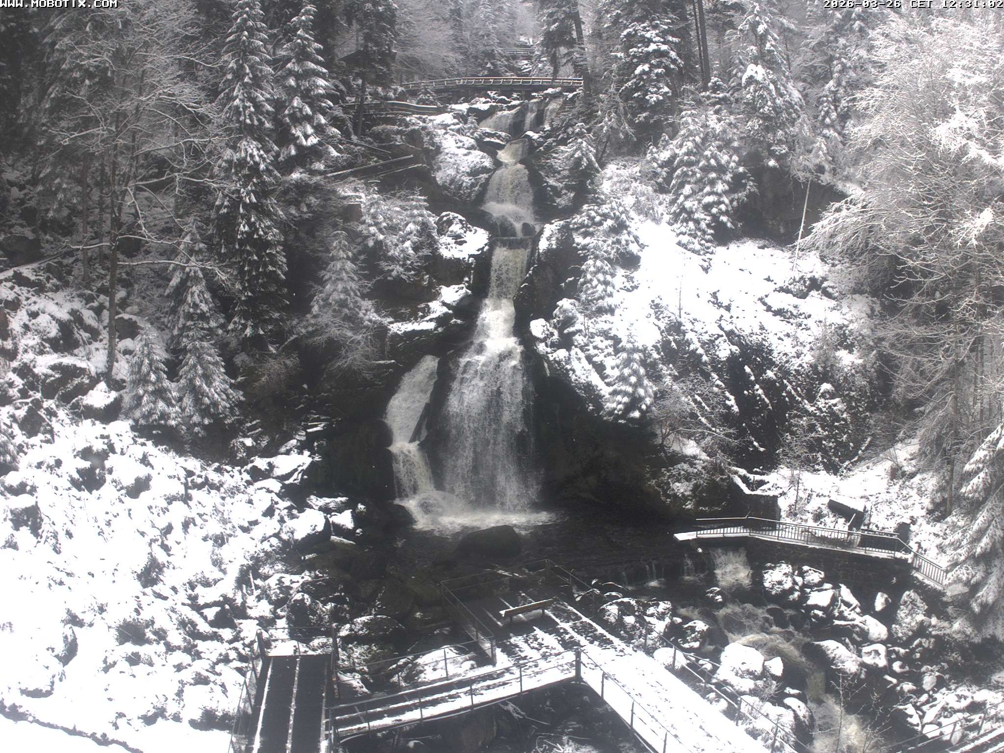 Archiv Foto Webcam Triberg Wasserfälle im Schwarzwald