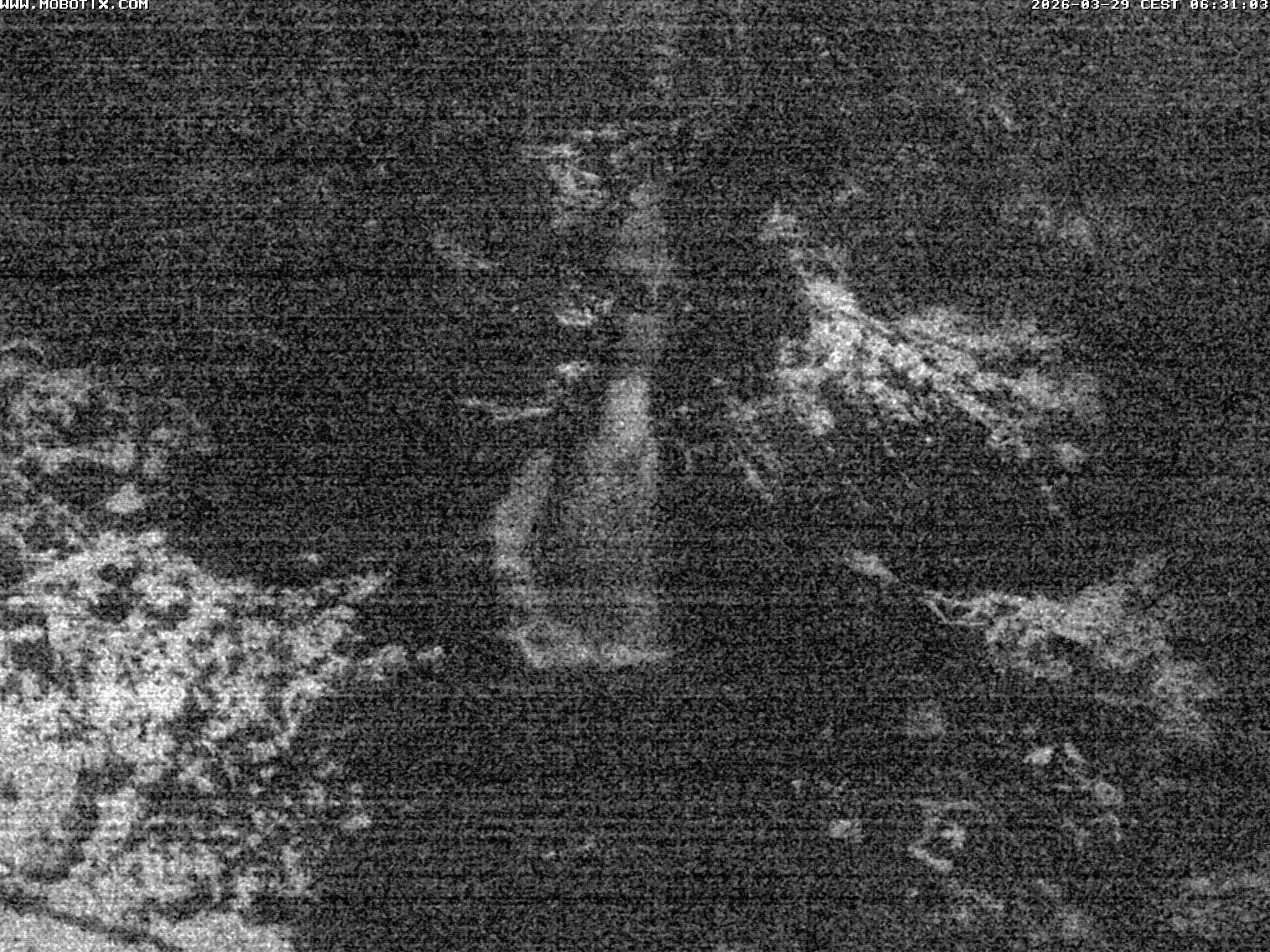 Archiv Foto Webcam Triberg Wasserfälle im Schwarzwald