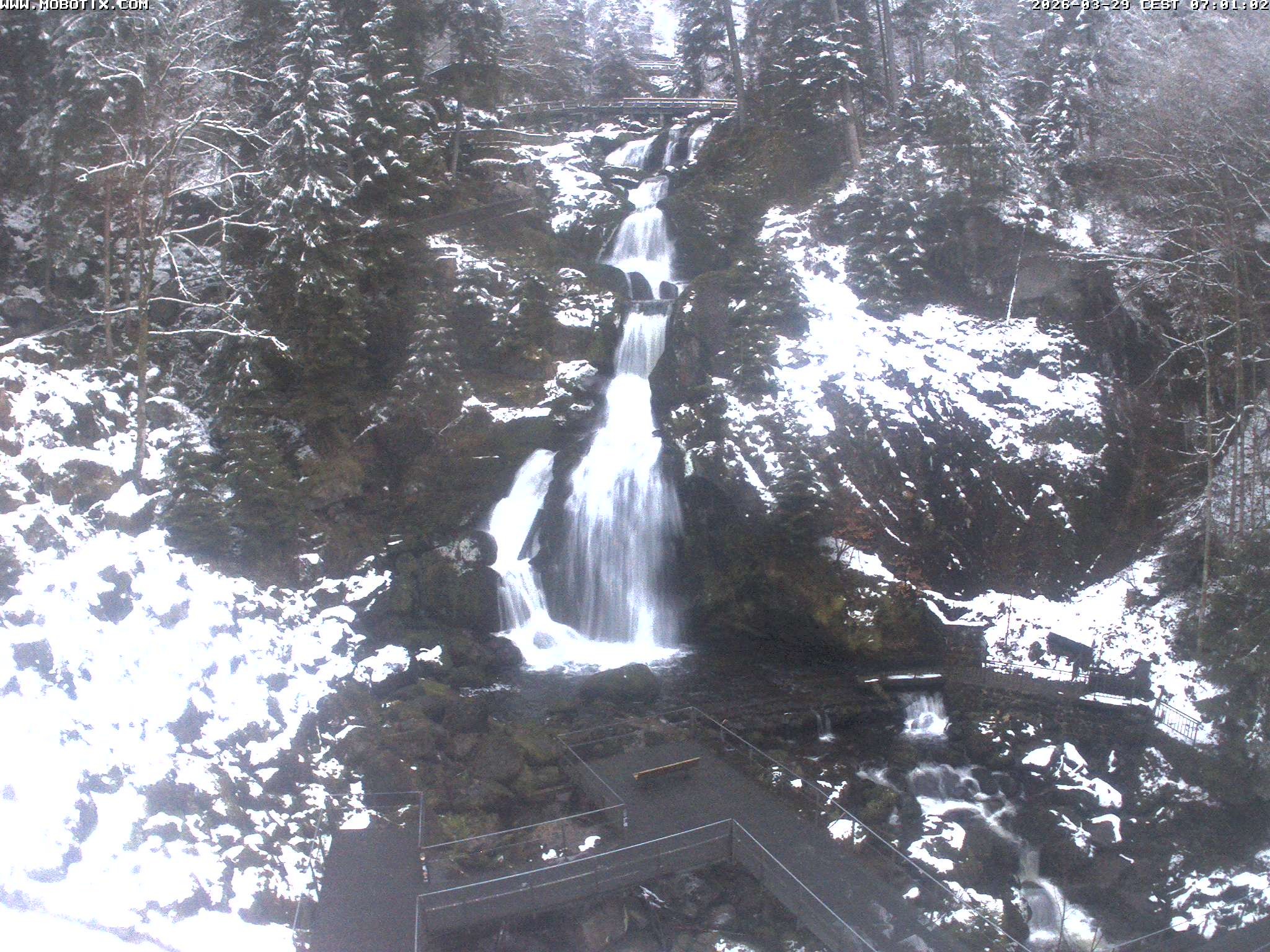 Archiv Foto Webcam Triberg Wasserfälle im Schwarzwald
