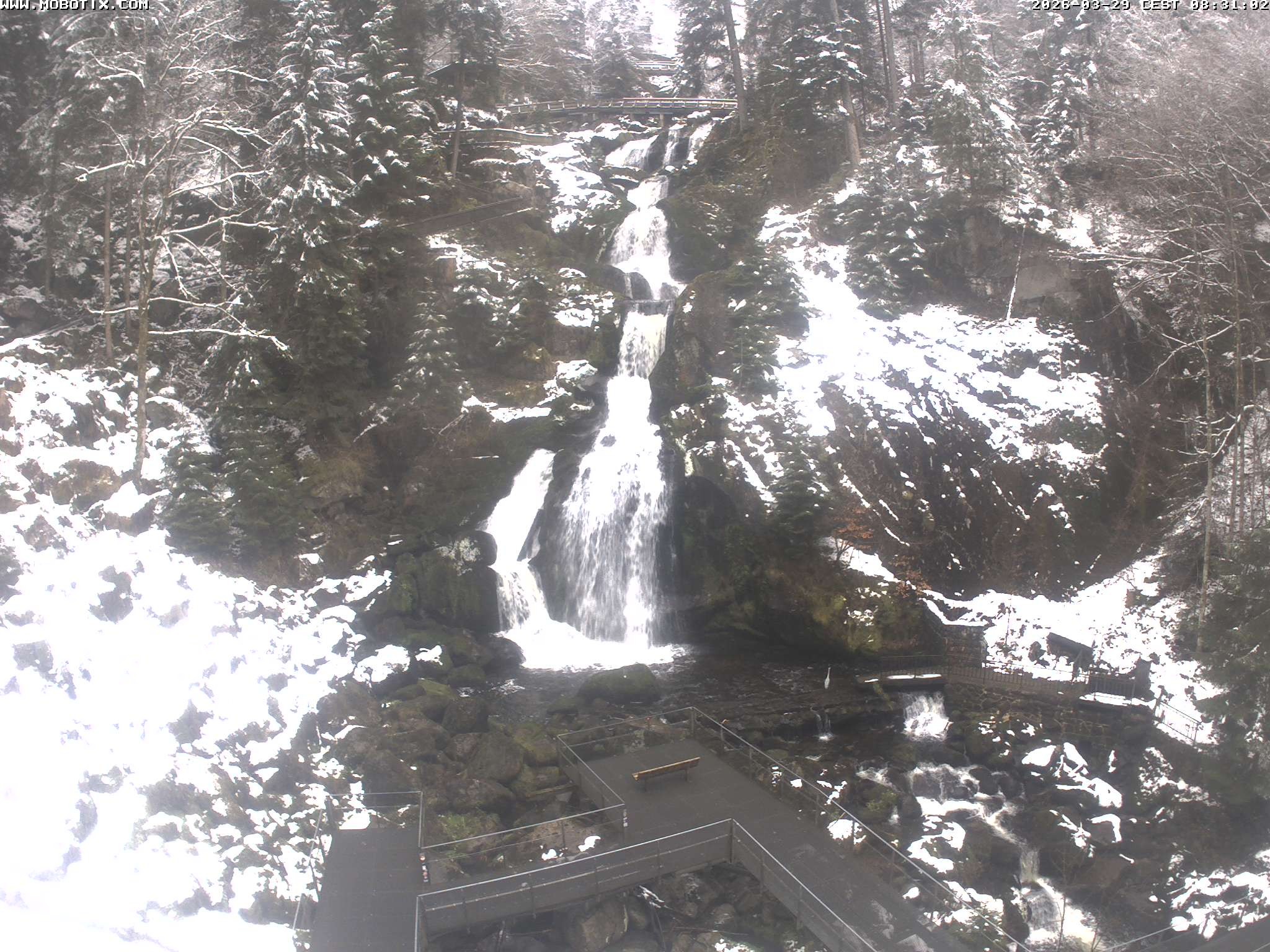 Archiv Foto Webcam Triberg Wasserfälle im Schwarzwald