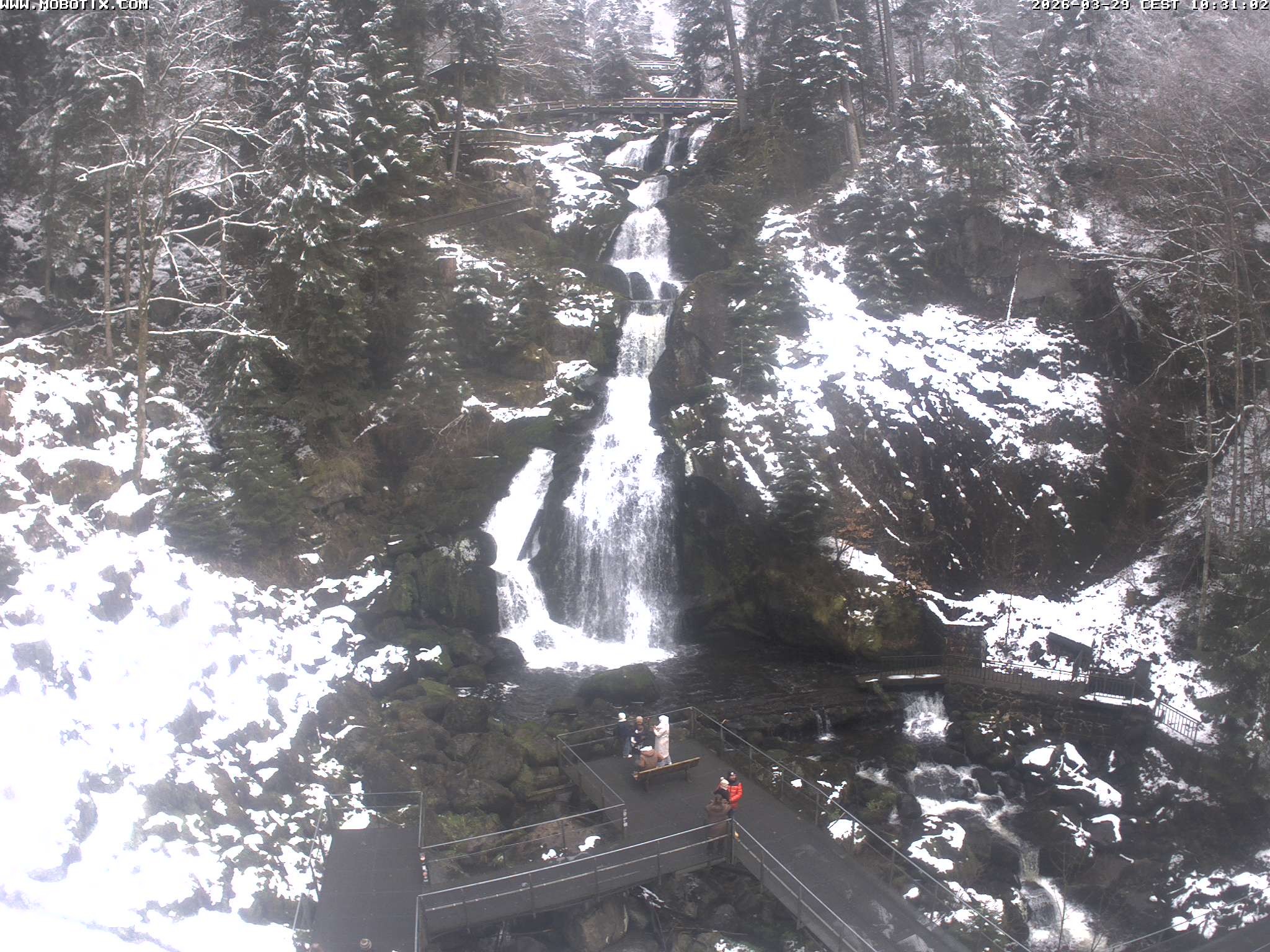 Archiv Foto Webcam Triberg Wasserfälle im Schwarzwald