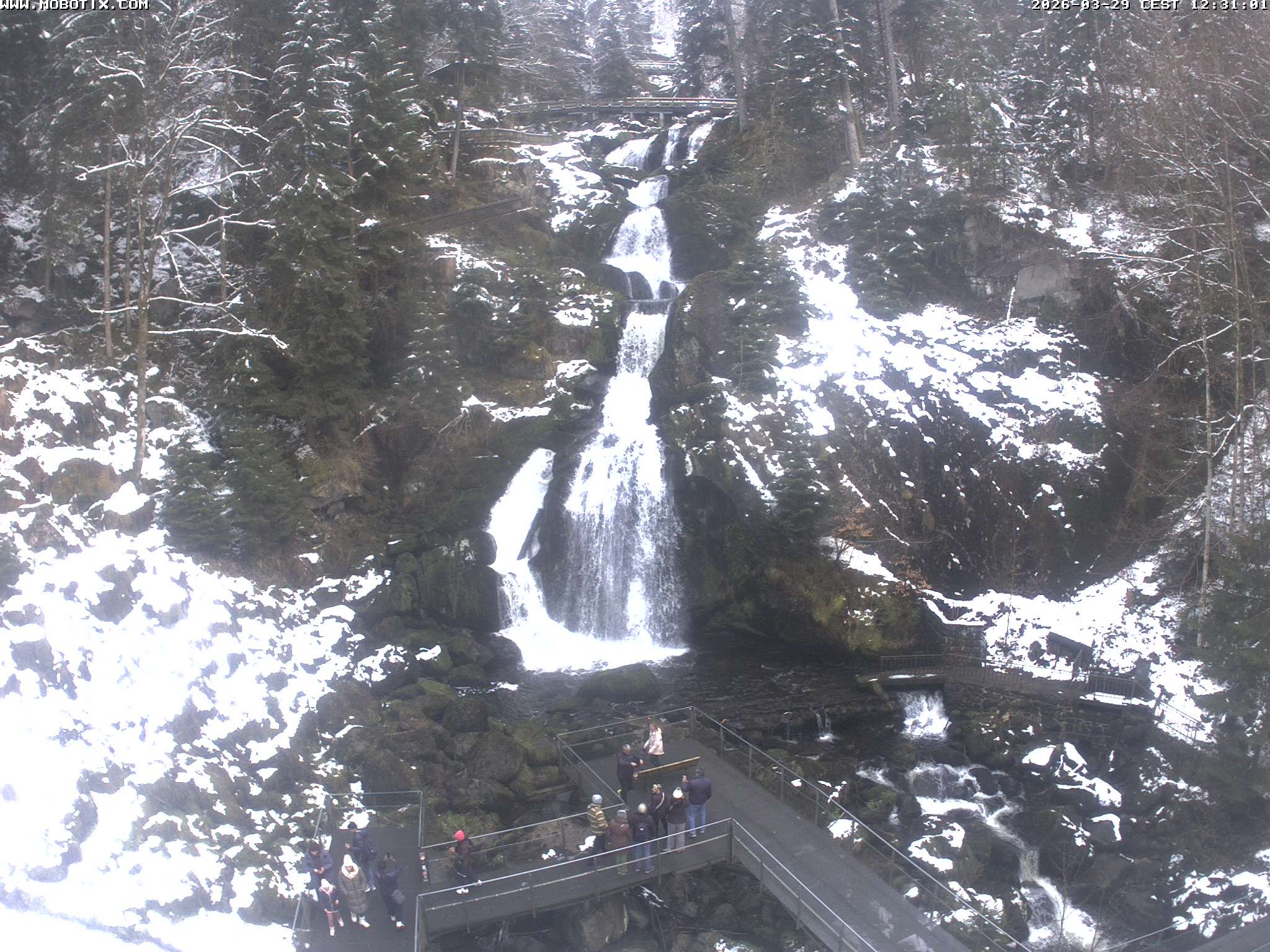 Archiv Foto Webcam Triberg Wasserfälle im Schwarzwald