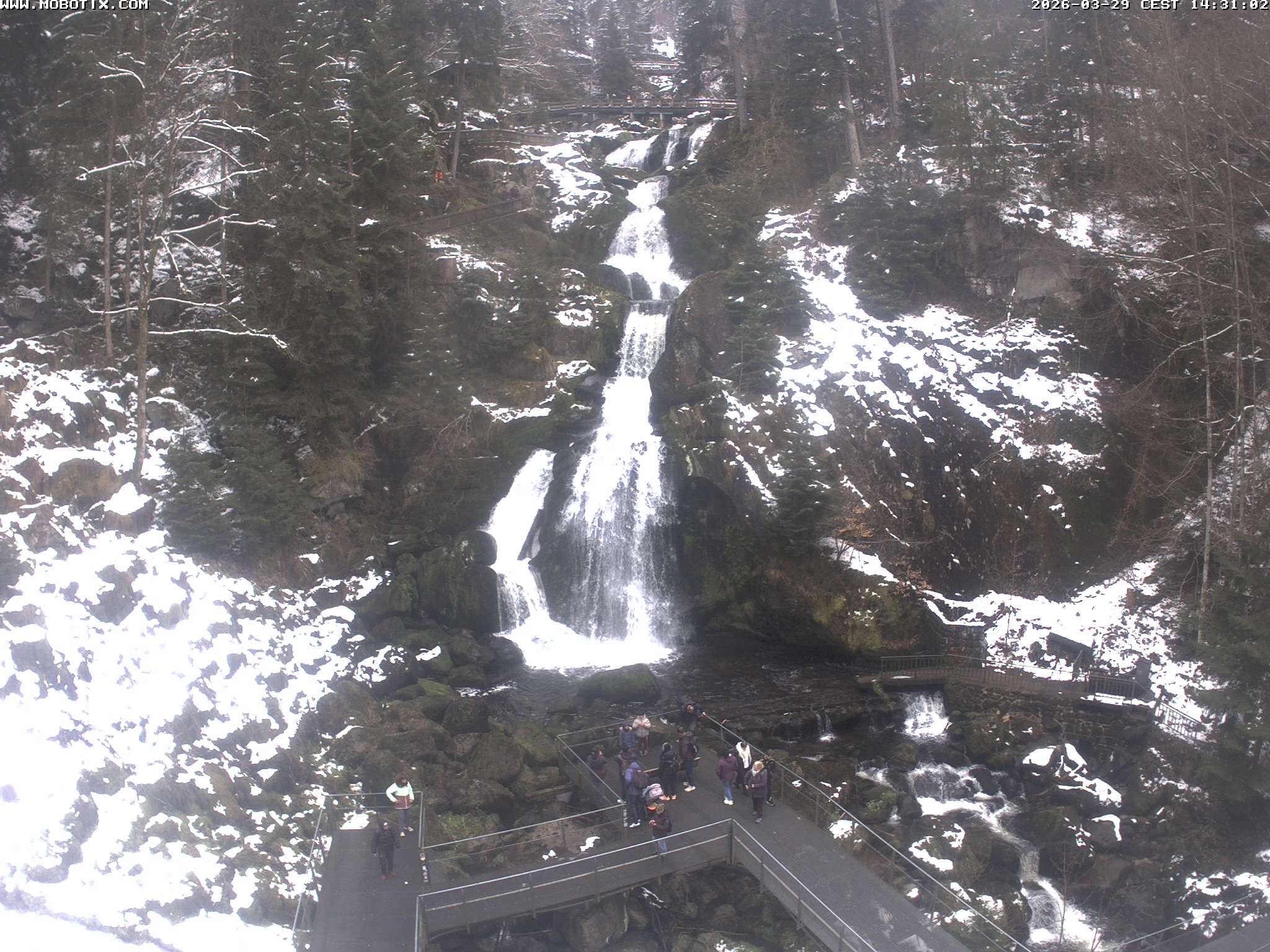 Archiv Foto Webcam Triberg Wasserfälle im Schwarzwald