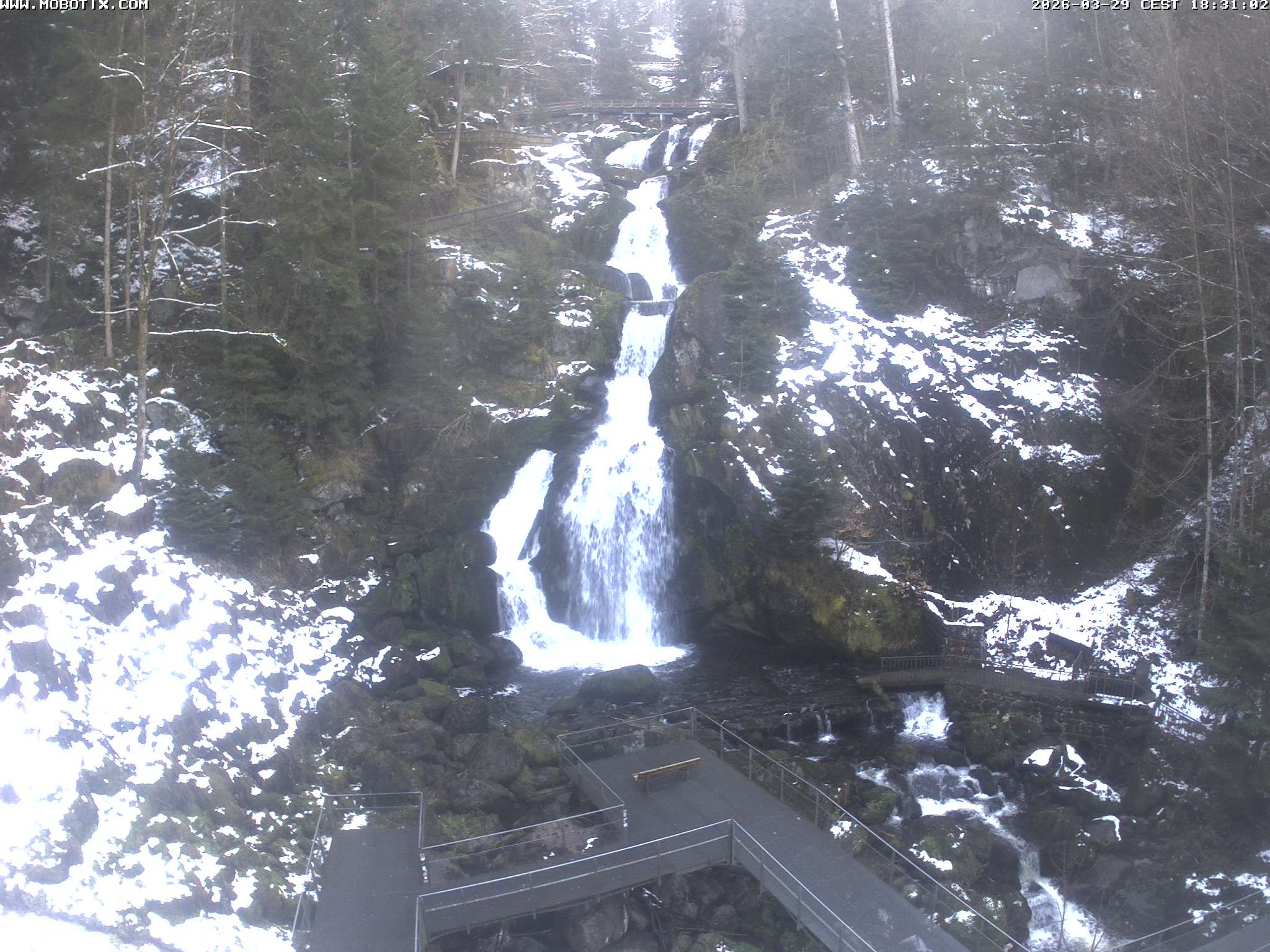 Archiv Foto Webcam Triberg Wasserfälle im Schwarzwald