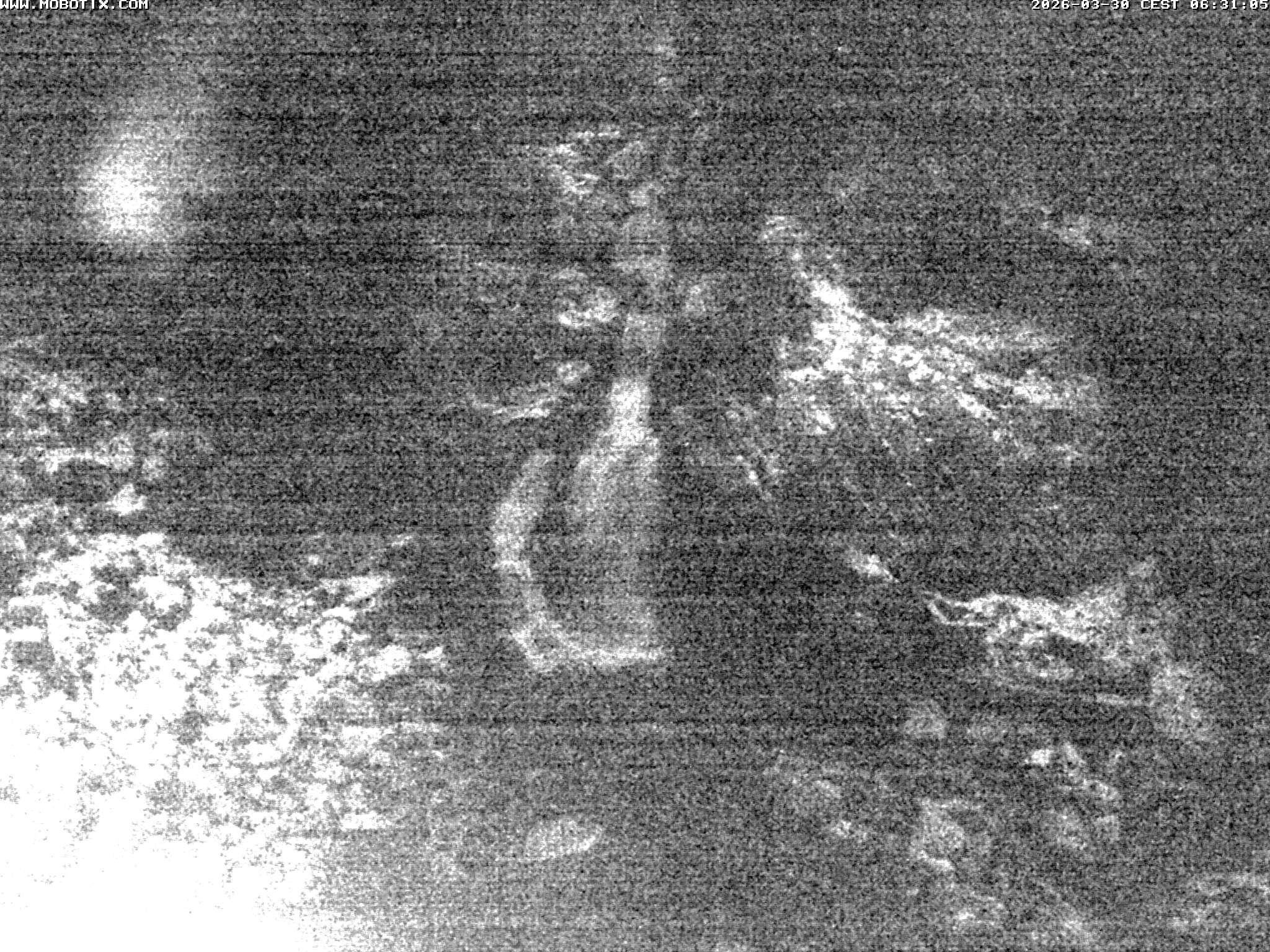 Archiv Foto Webcam Triberg Wasserfälle im Schwarzwald