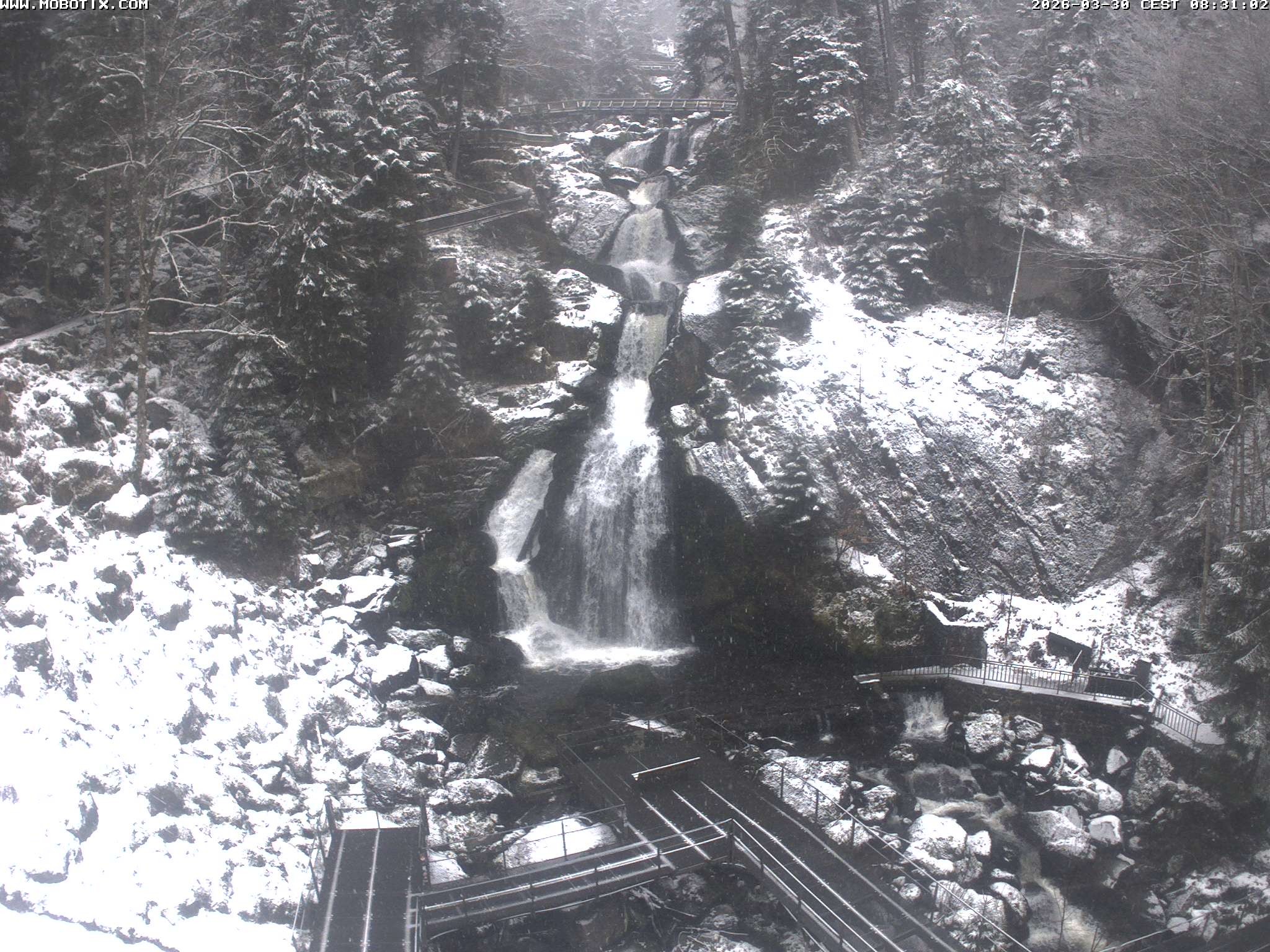 Archiv Foto Webcam Triberg Wasserfälle im Schwarzwald