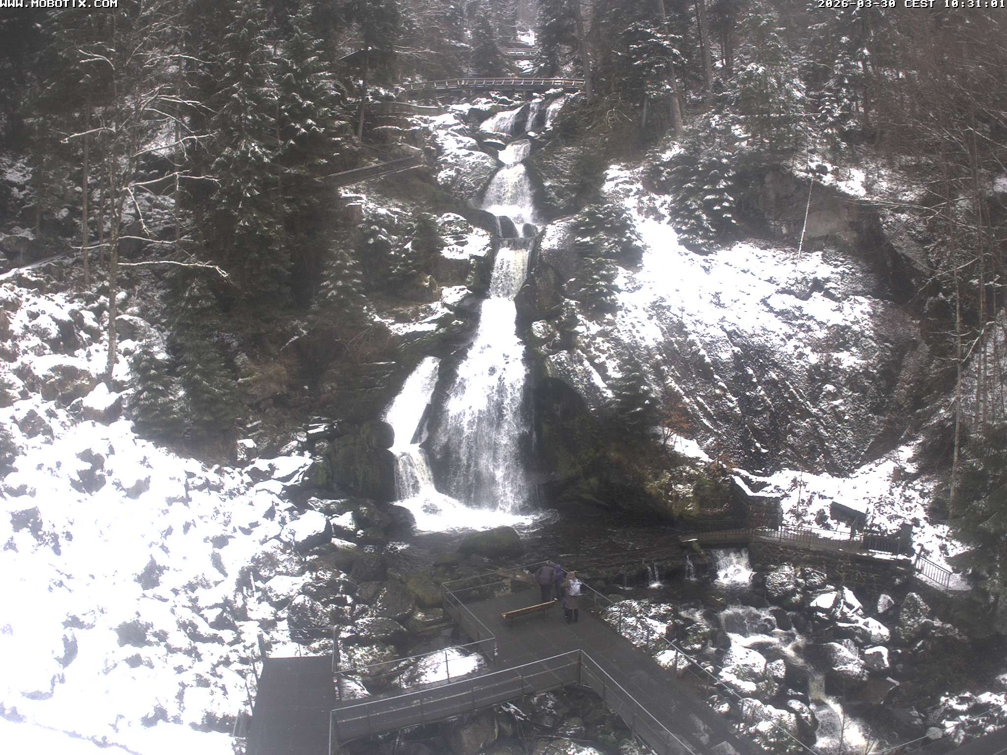 Archiv Foto Webcam Triberg Wasserfälle im Schwarzwald