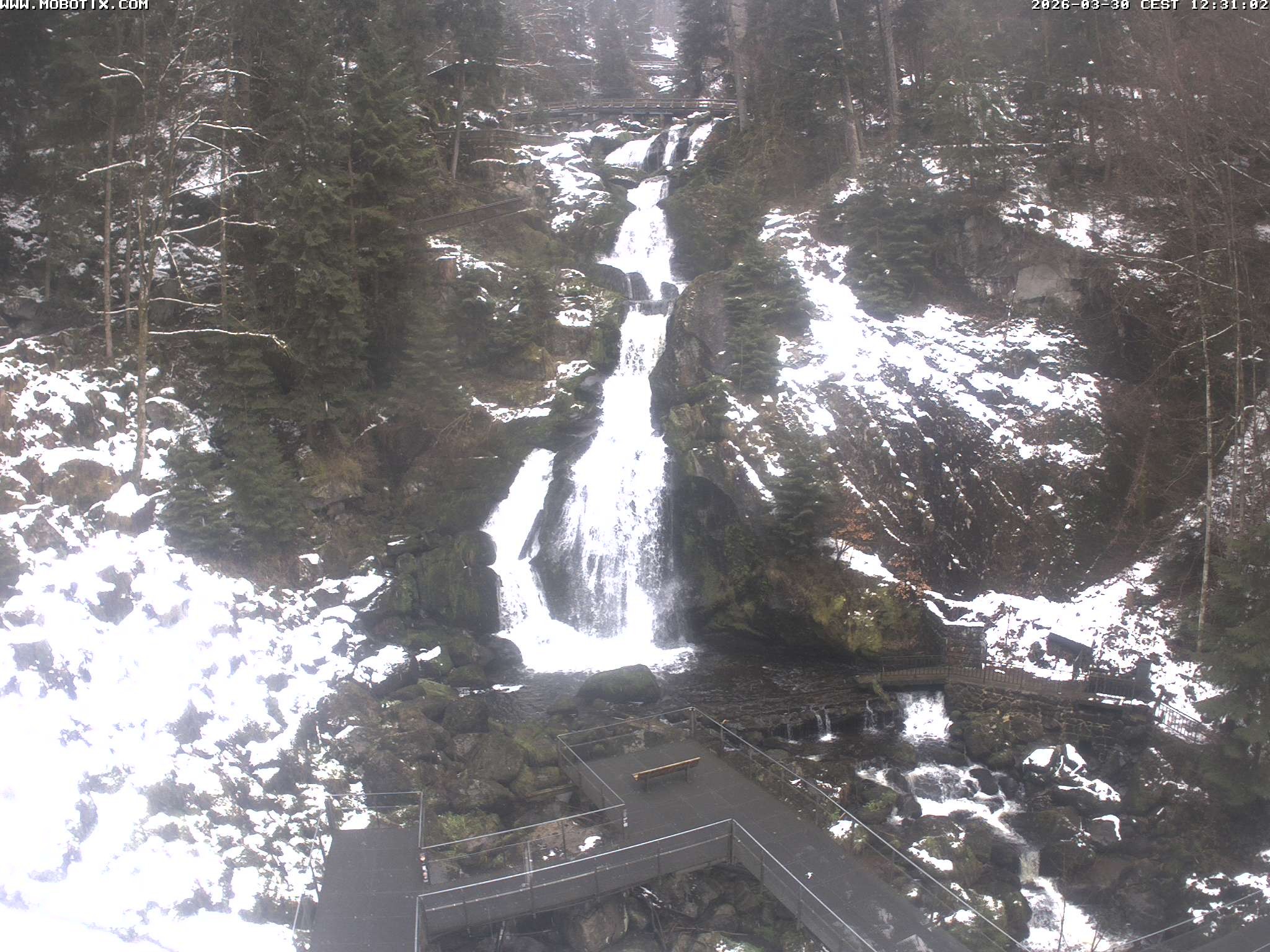 Archiv Foto Webcam Triberg Wasserfälle im Schwarzwald