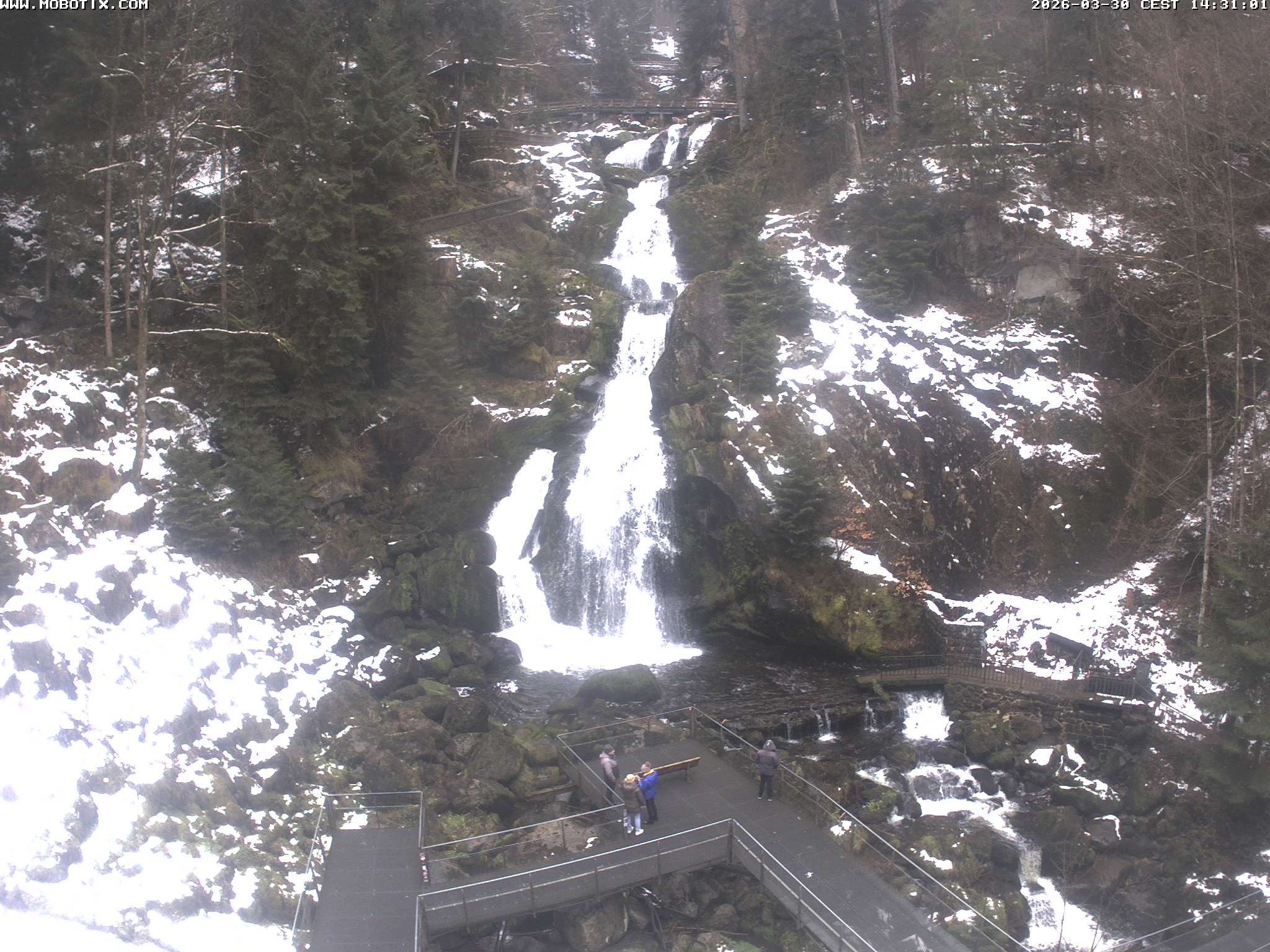 Archiv Foto Webcam Triberg Wasserfälle im Schwarzwald