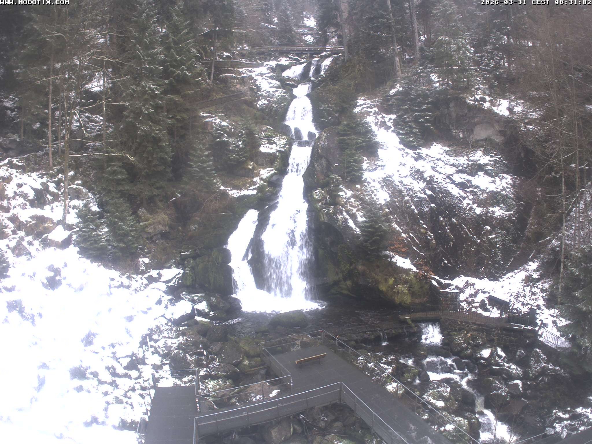 Archiv Foto Webcam Triberg Wasserfälle im Schwarzwald
