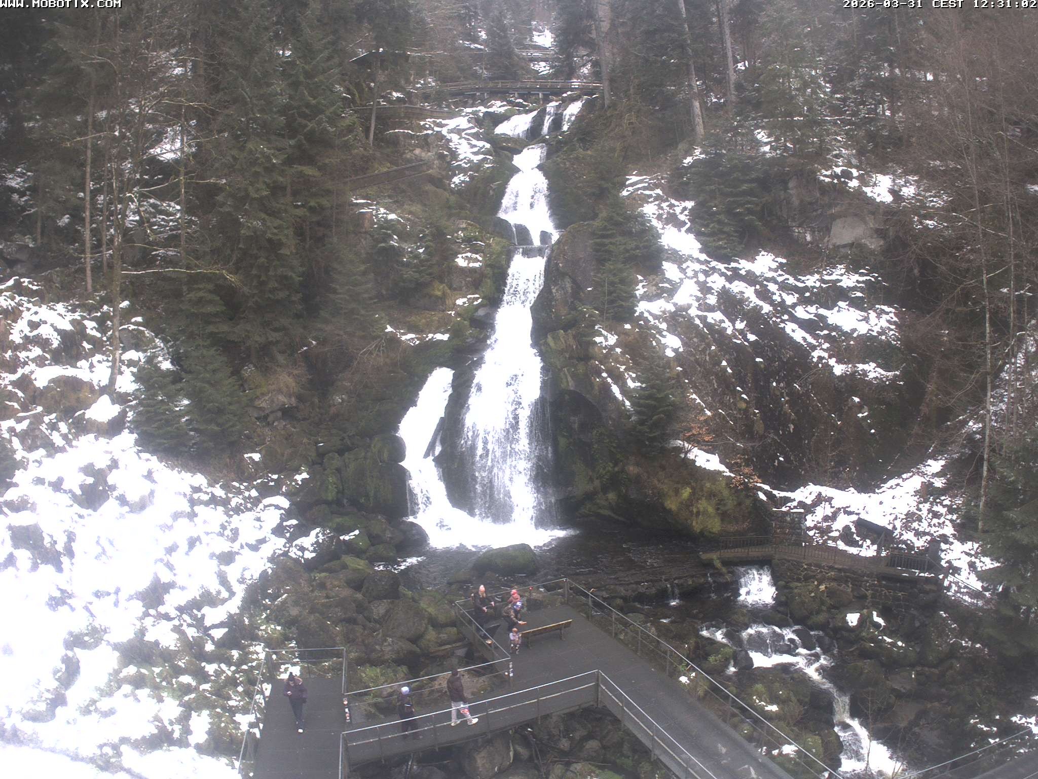 Archiv Foto Webcam Triberg Wasserfälle im Schwarzwald